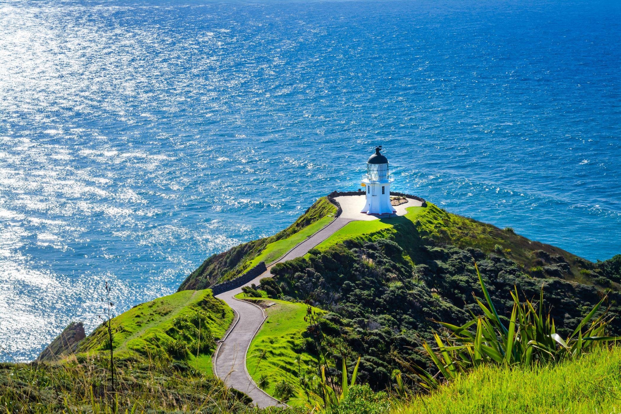 Cape Reinga Full-Day Tour