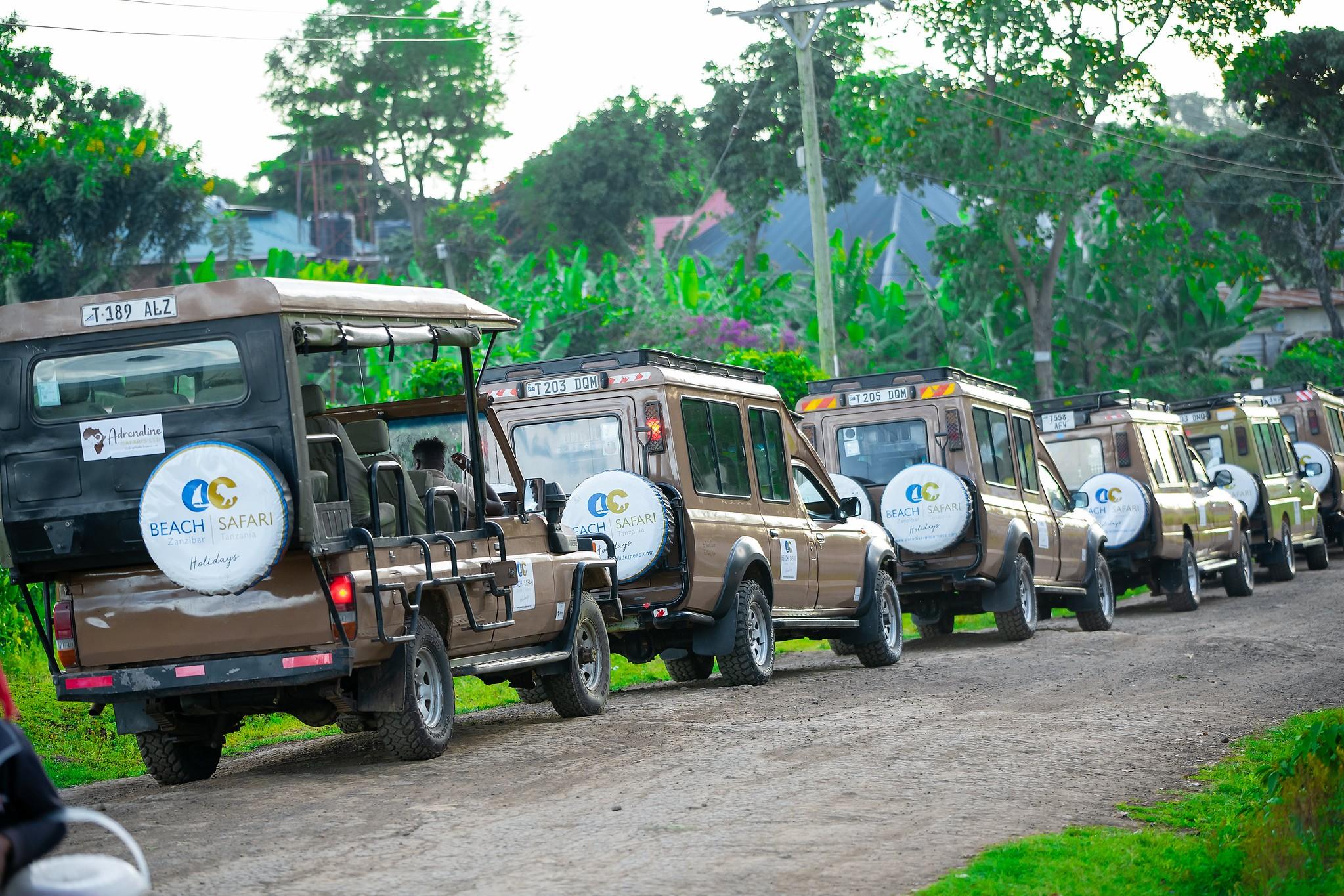 Zanzibar to Mikumi: Fly-In Safari Day Trip with Bush Lunch