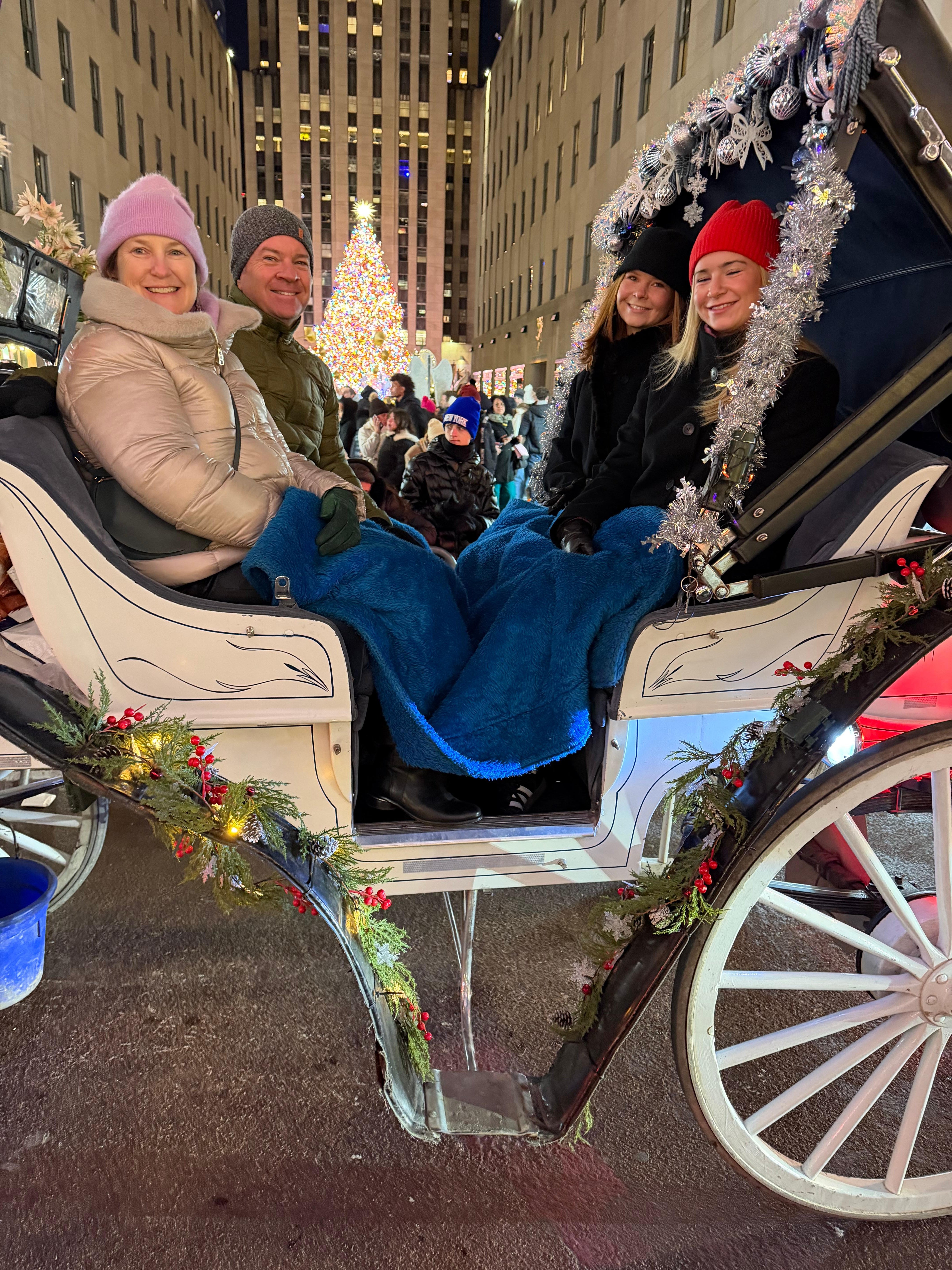 Private Central Park Horse Carriage Tour with Guide