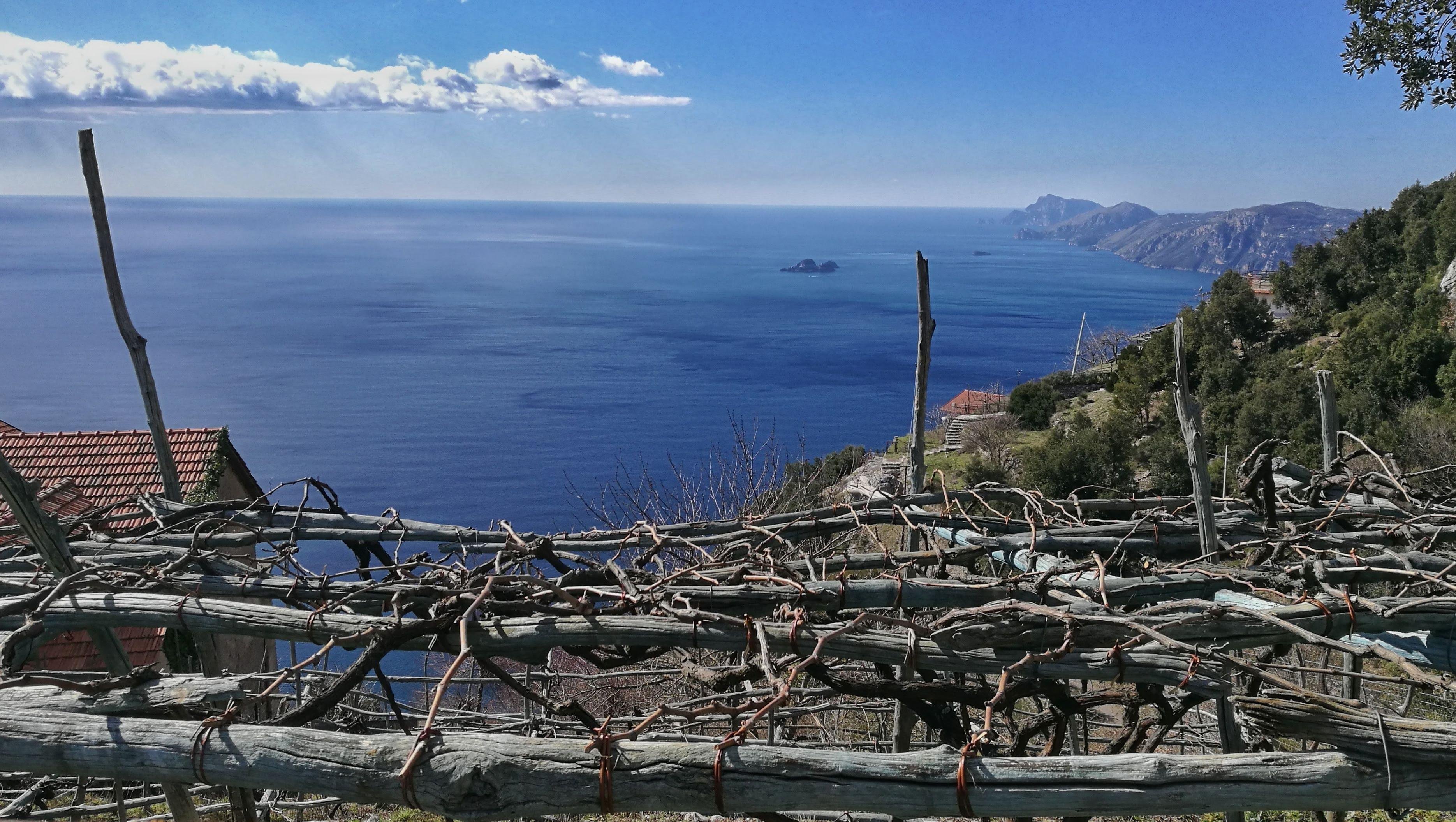 Path of the Gods Guided Hike with Transfer from Sorrento
