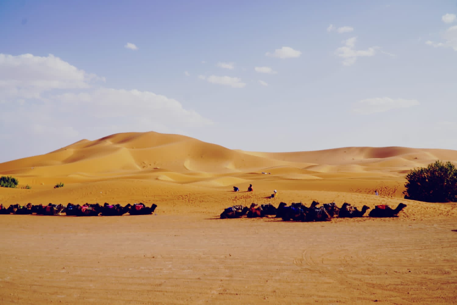 Erg Chebbi Desert Overnight: Camel Ride & Heated Tent Camp