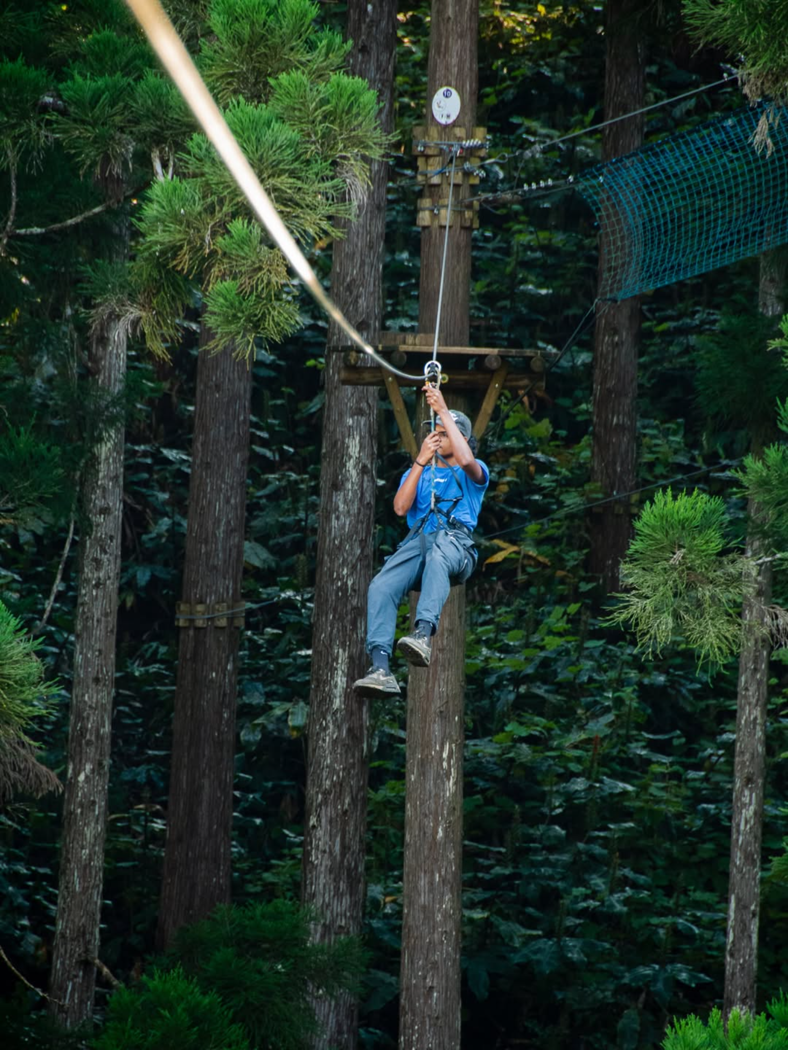 Maïdo Forest Adventure: 8 Canopy Courses + Athletic Challenge
