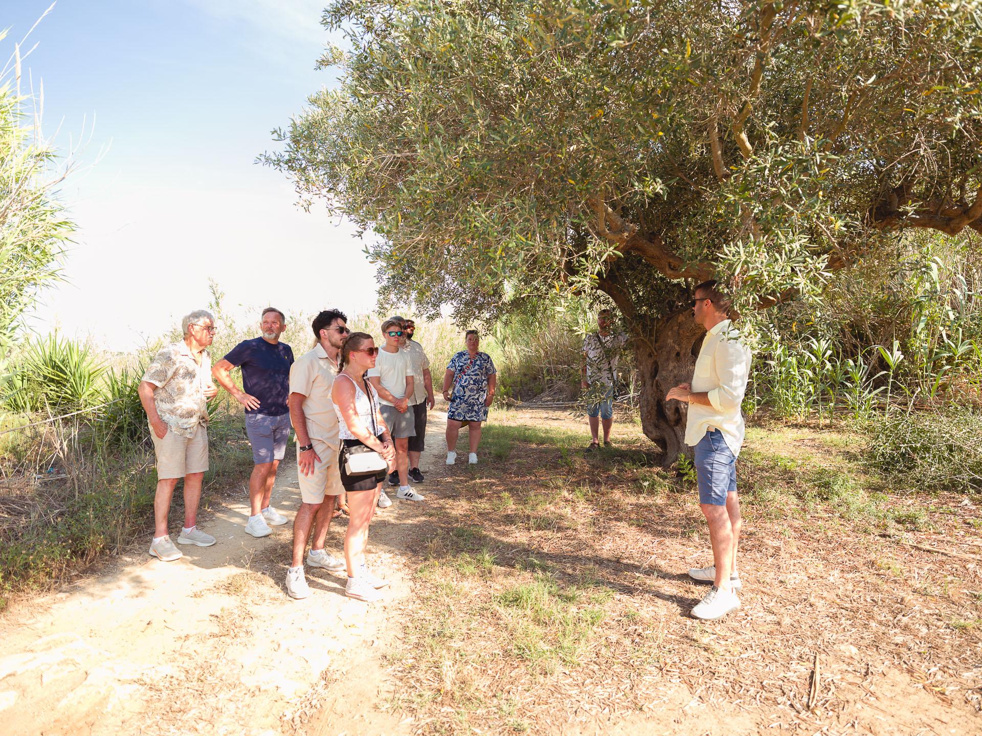 olive oil tasting in Sicily — photo 12