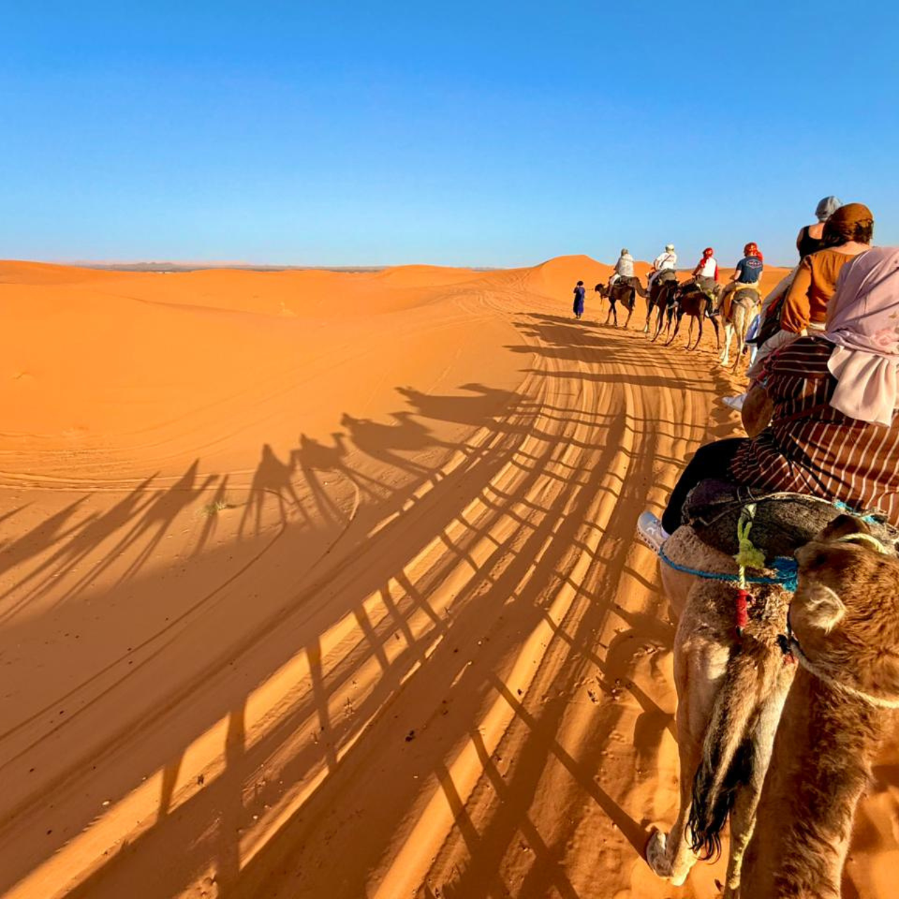 3-Day Marrakech to Merzouga Desert & Camel Ride Adventure