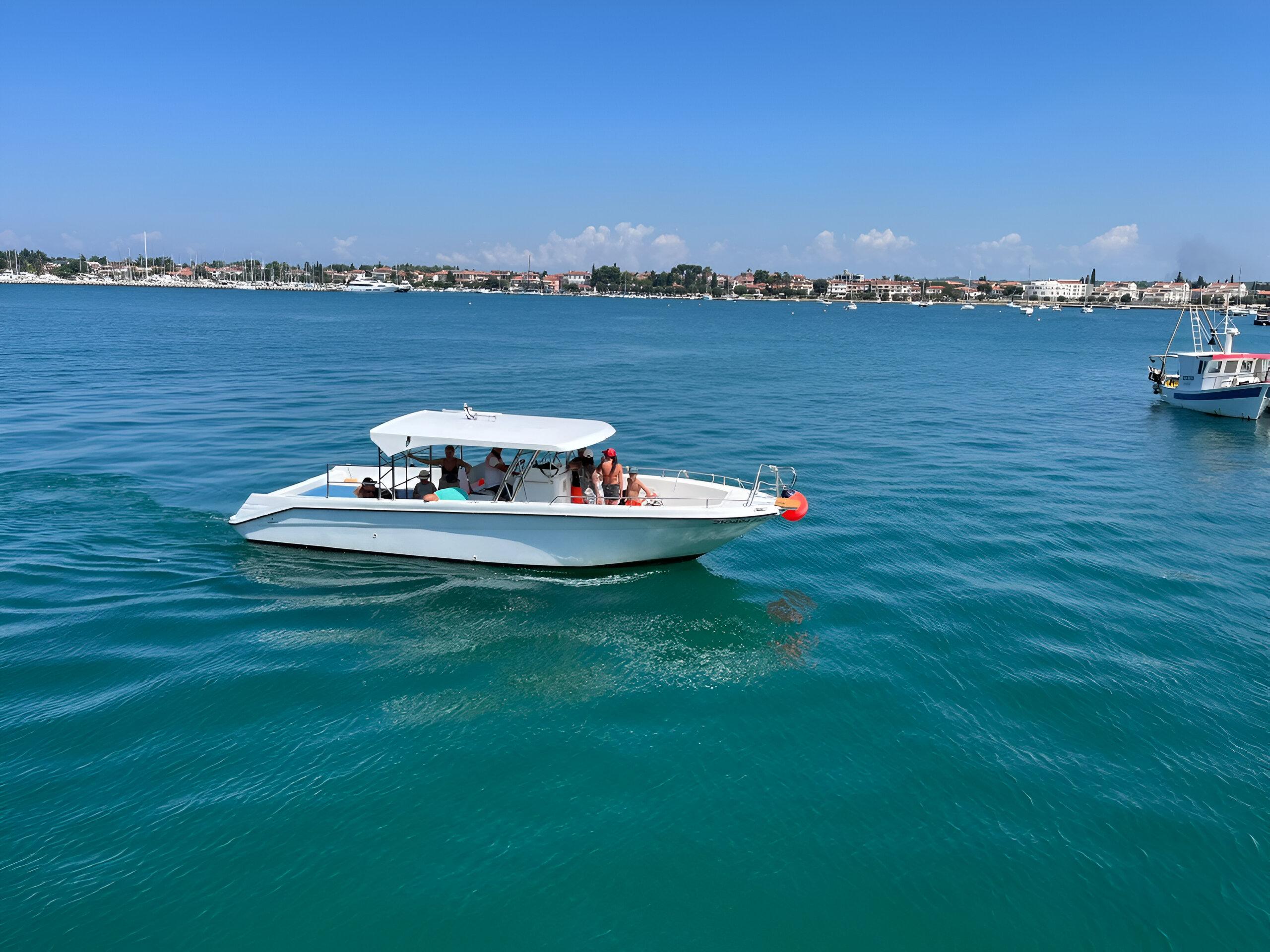 Umag Dolphin Watching & Snorkeling Expedition