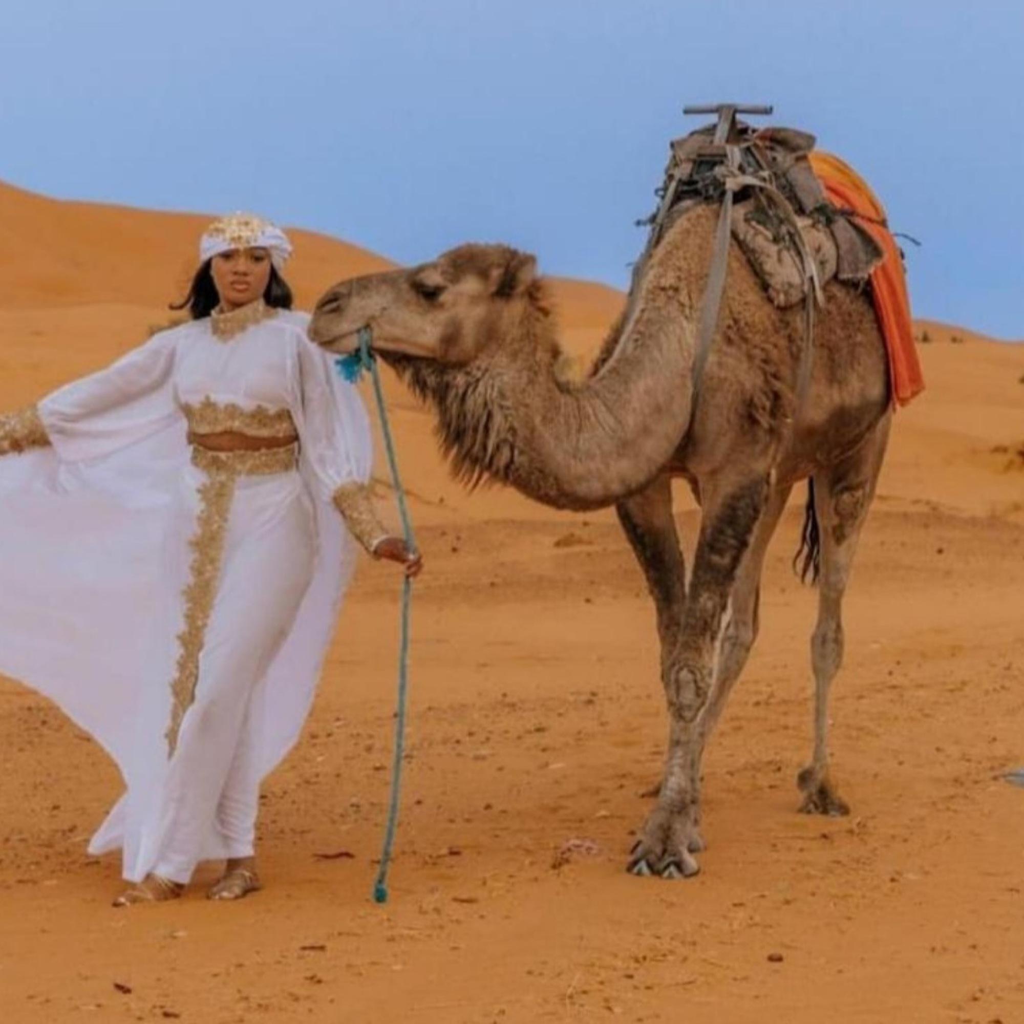Merzouga Sahara Overnight: Camel Trek & Luxury Desert Camp