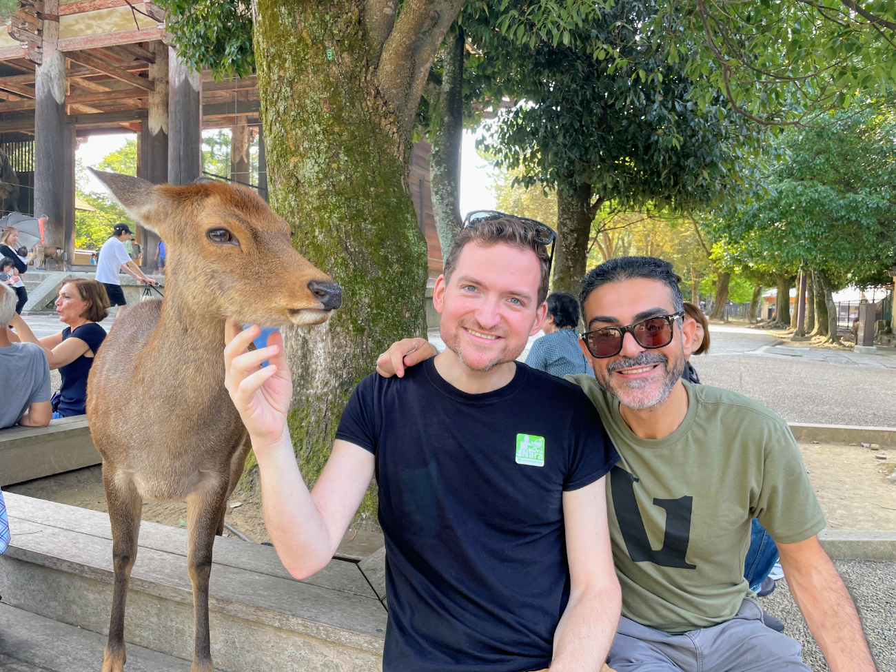 Nara Guided Half-Day Morning Tour from Kyoto