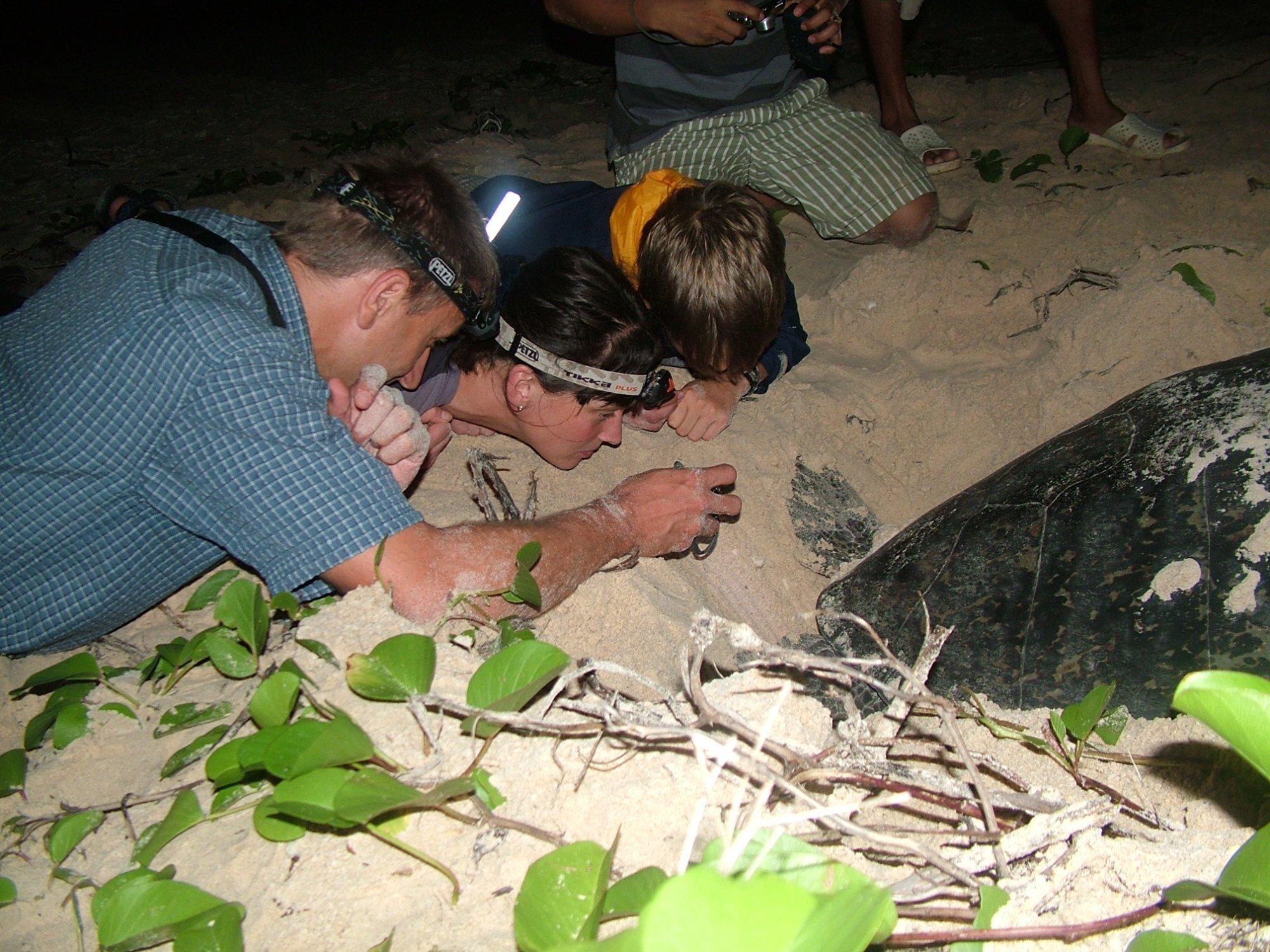 Con Dao Sea Turtle Conservation & Snorkeling Adventure