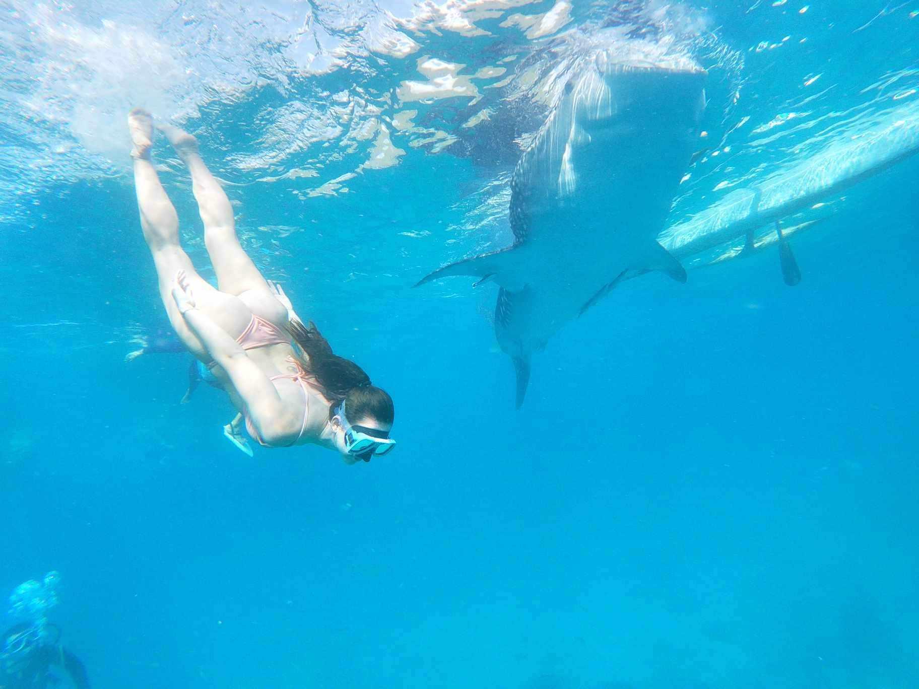 Oslob Triple Adventure: Whale Sharks, Tumalog Falls & Sumilon Island