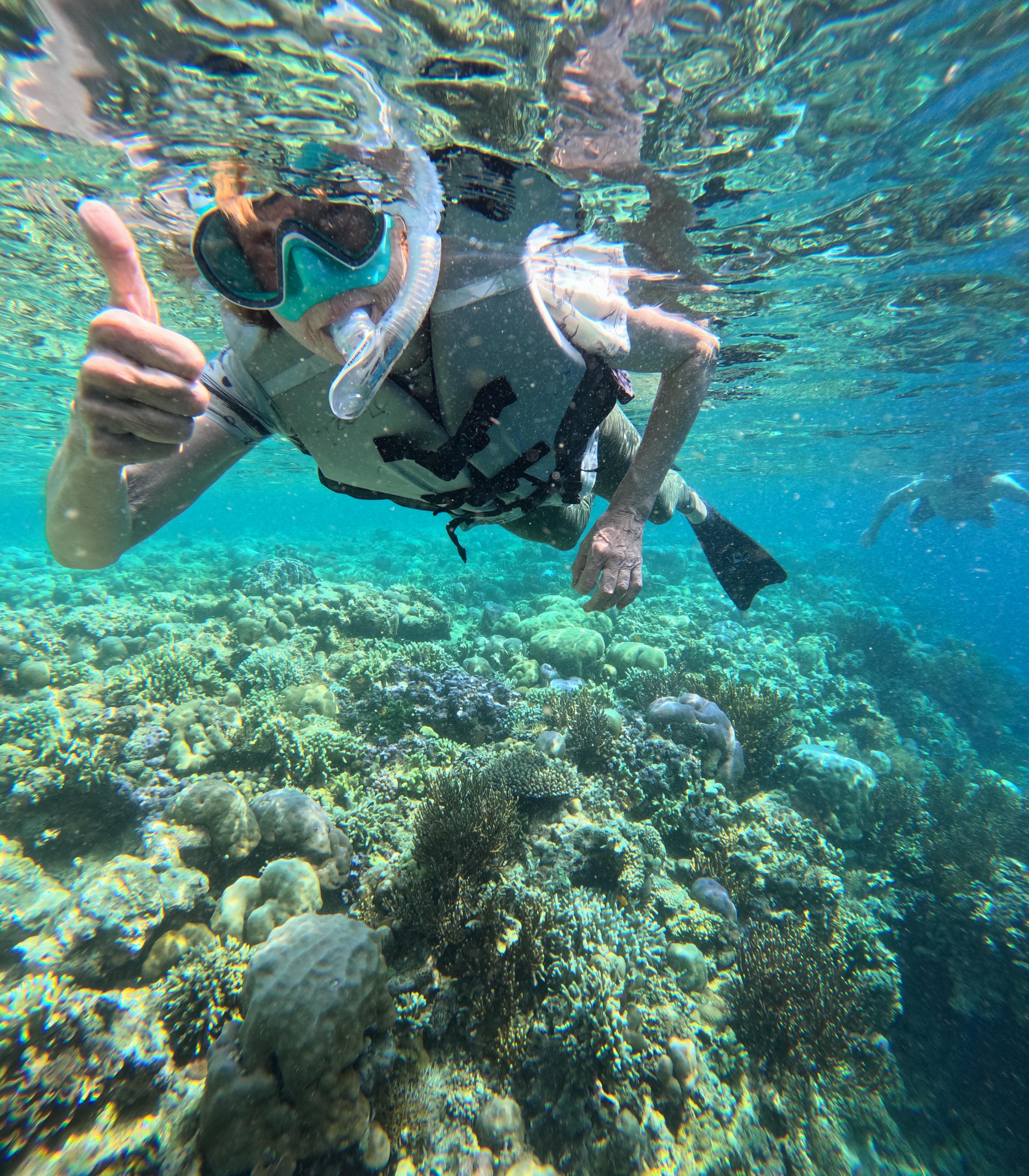 Menjangan Island Snorkeling Tour from Pemuteran
