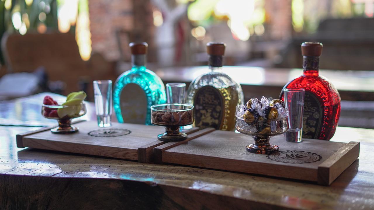 tequila tour in Guadalajara — photo 10