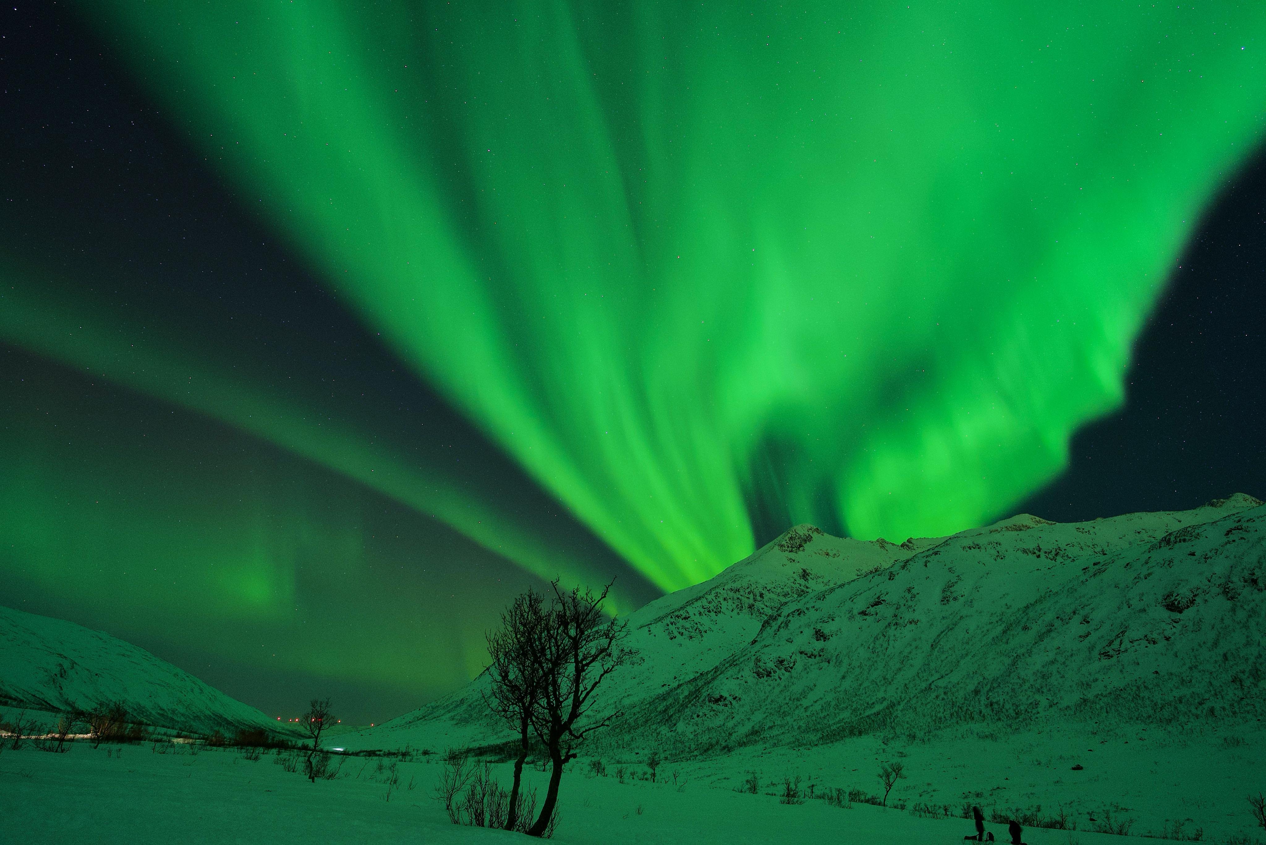 Northern lights chase from Tromsø — image 22