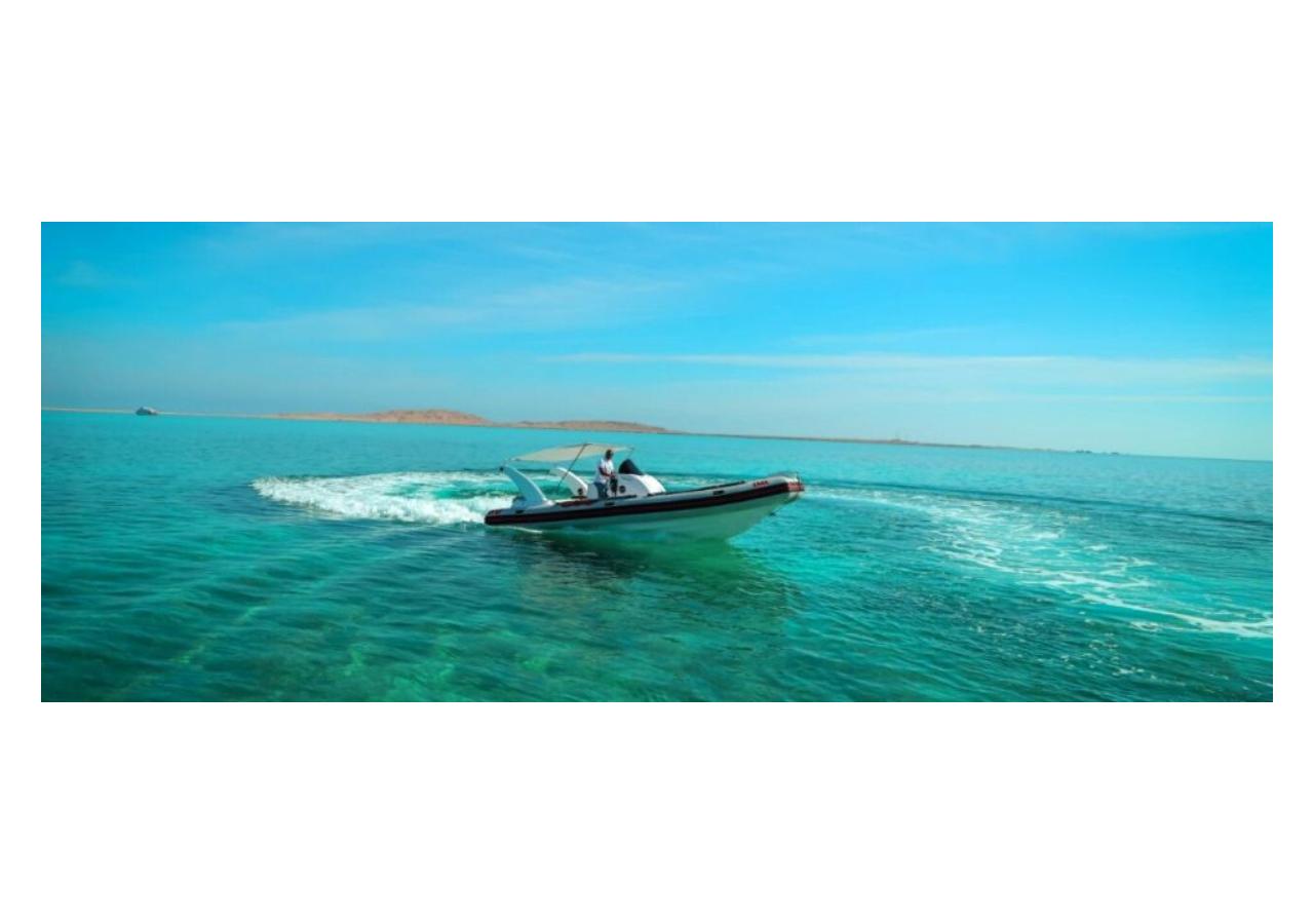 Sharm El-Sheikh: Private Speedboat to Tiran Island – Snorkel & Dive