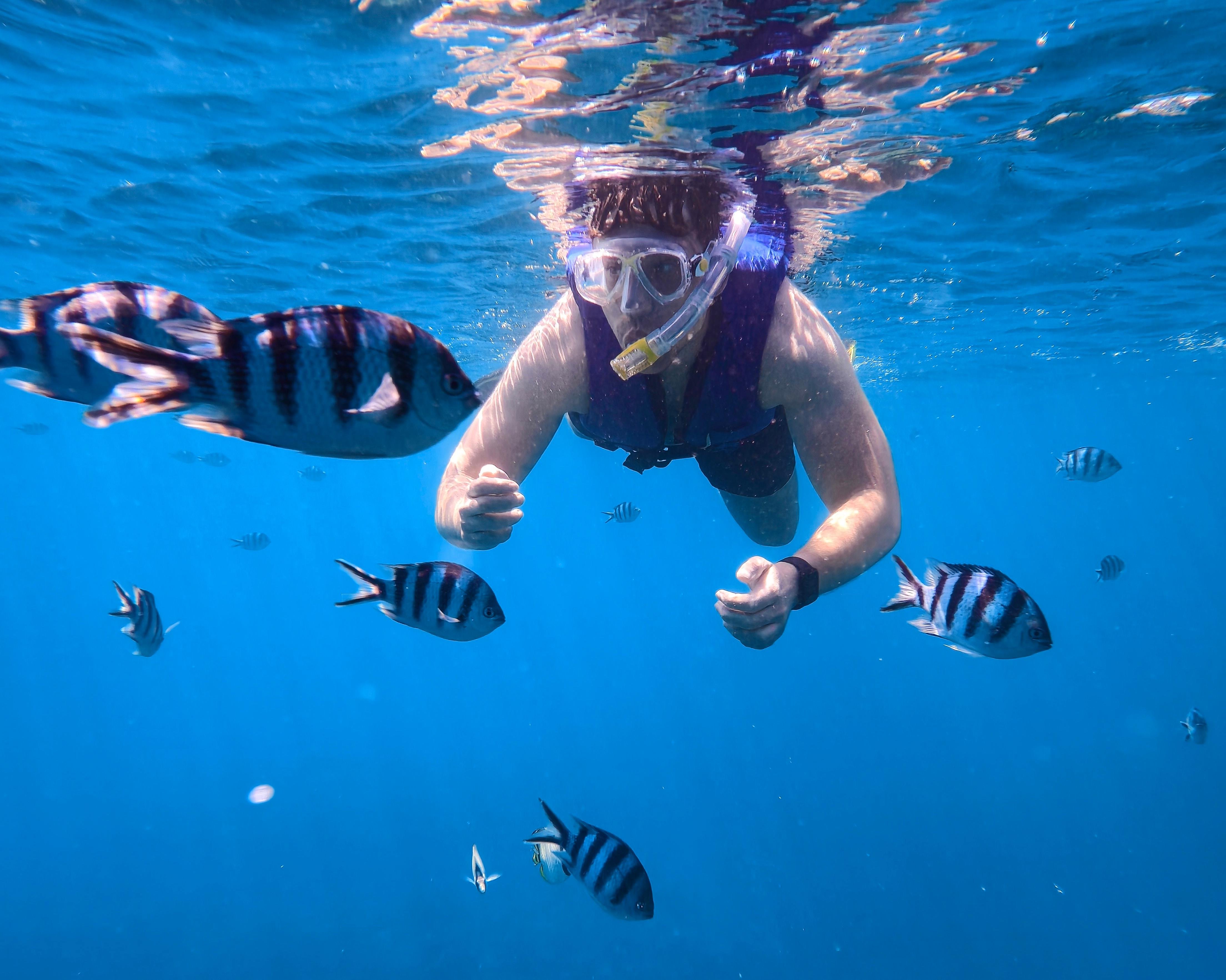 Blue Cave Okinawa snorkelling at Cape Maeda, Onna Village — image 21