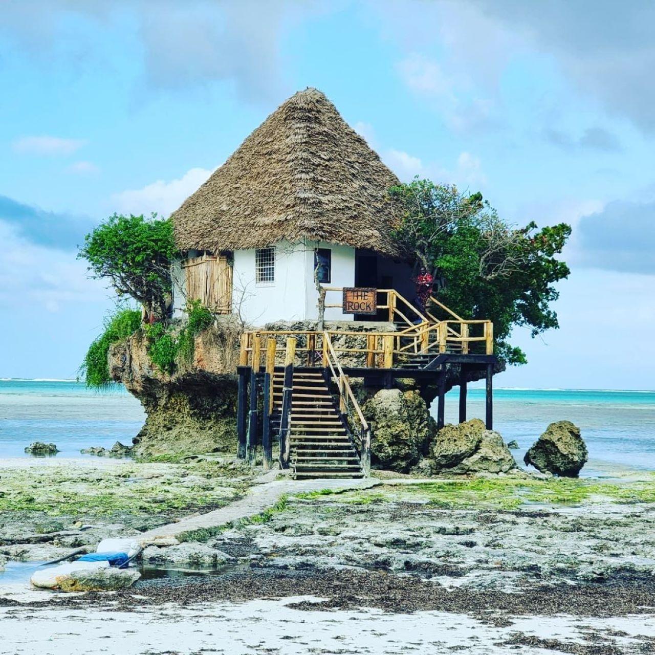 Zanzibar Full-Day Adventure: Caves, Monkeys, Turtles & Paje Beach