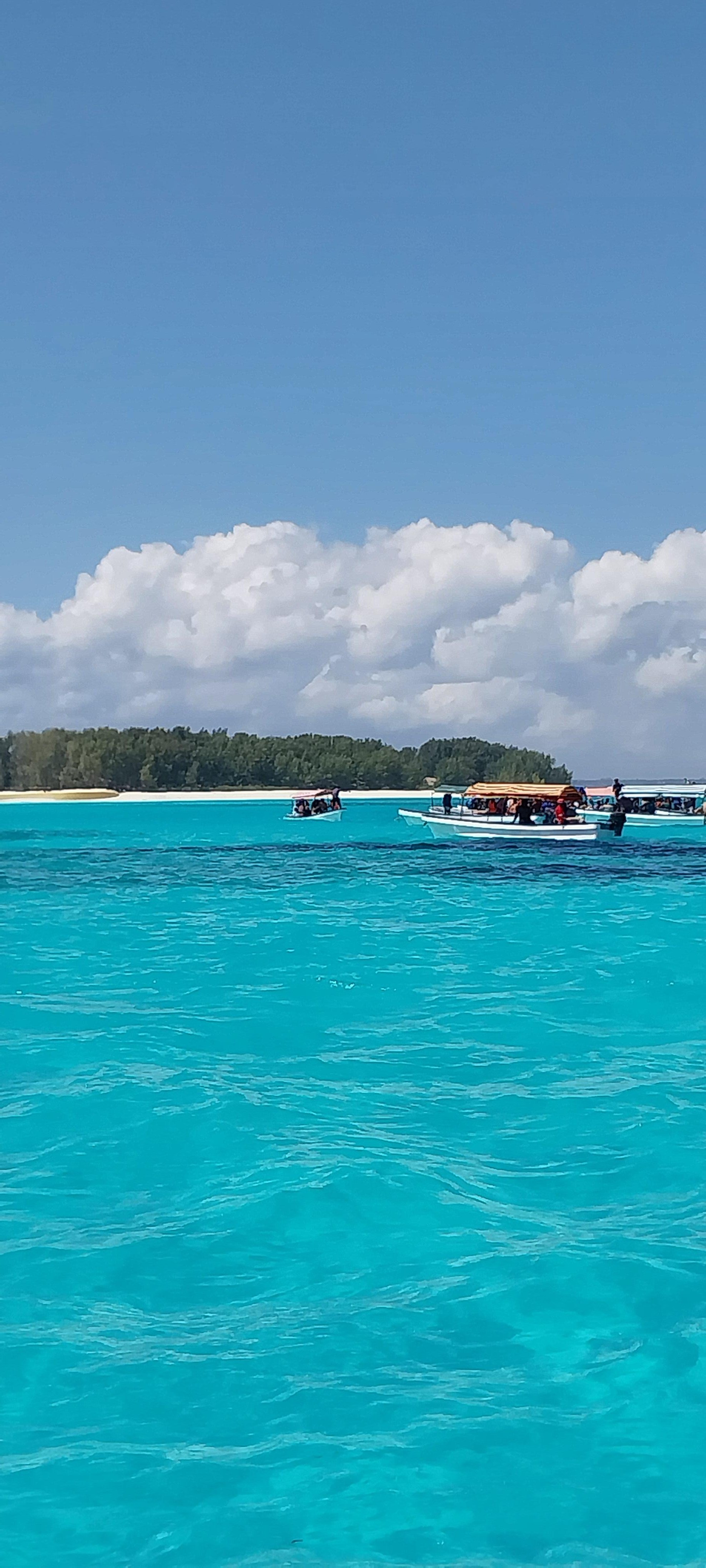 Mnemba Island Snorkeling & Dolphin Encounter from Nungwi