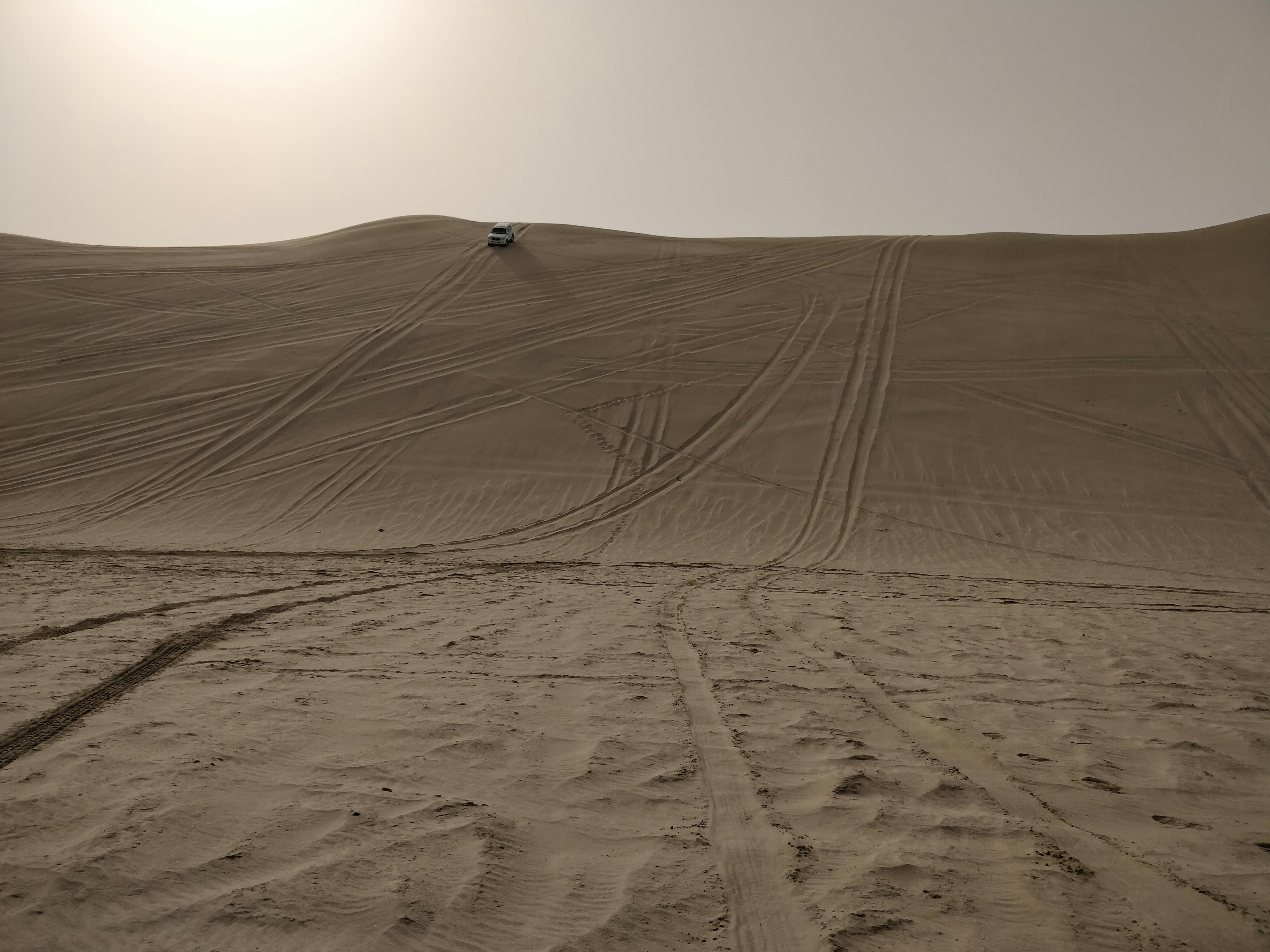 Doha Desert Safari: Dunes, Camels & Inland Sea