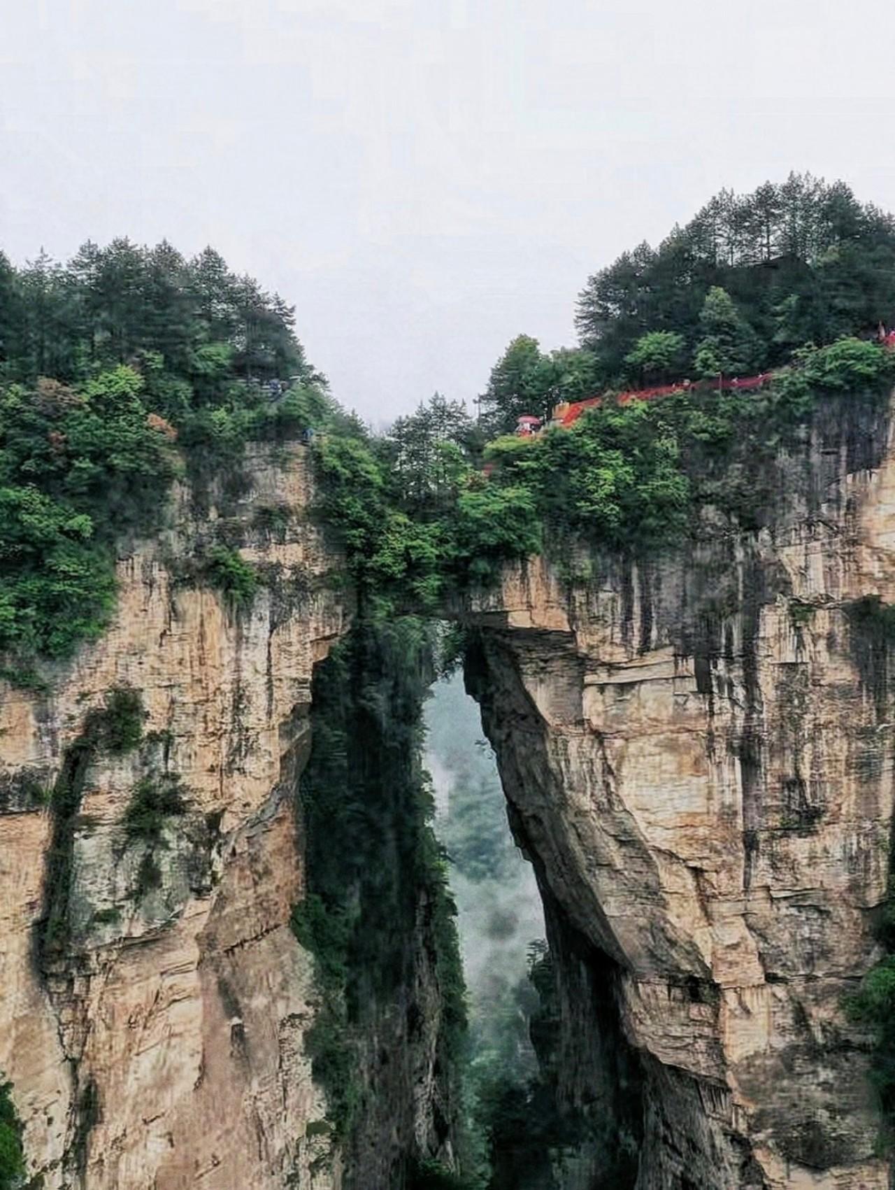 Zhangjiajie Full-Day Trip: Avatar Mountains, Glass Bridge & Furong Town