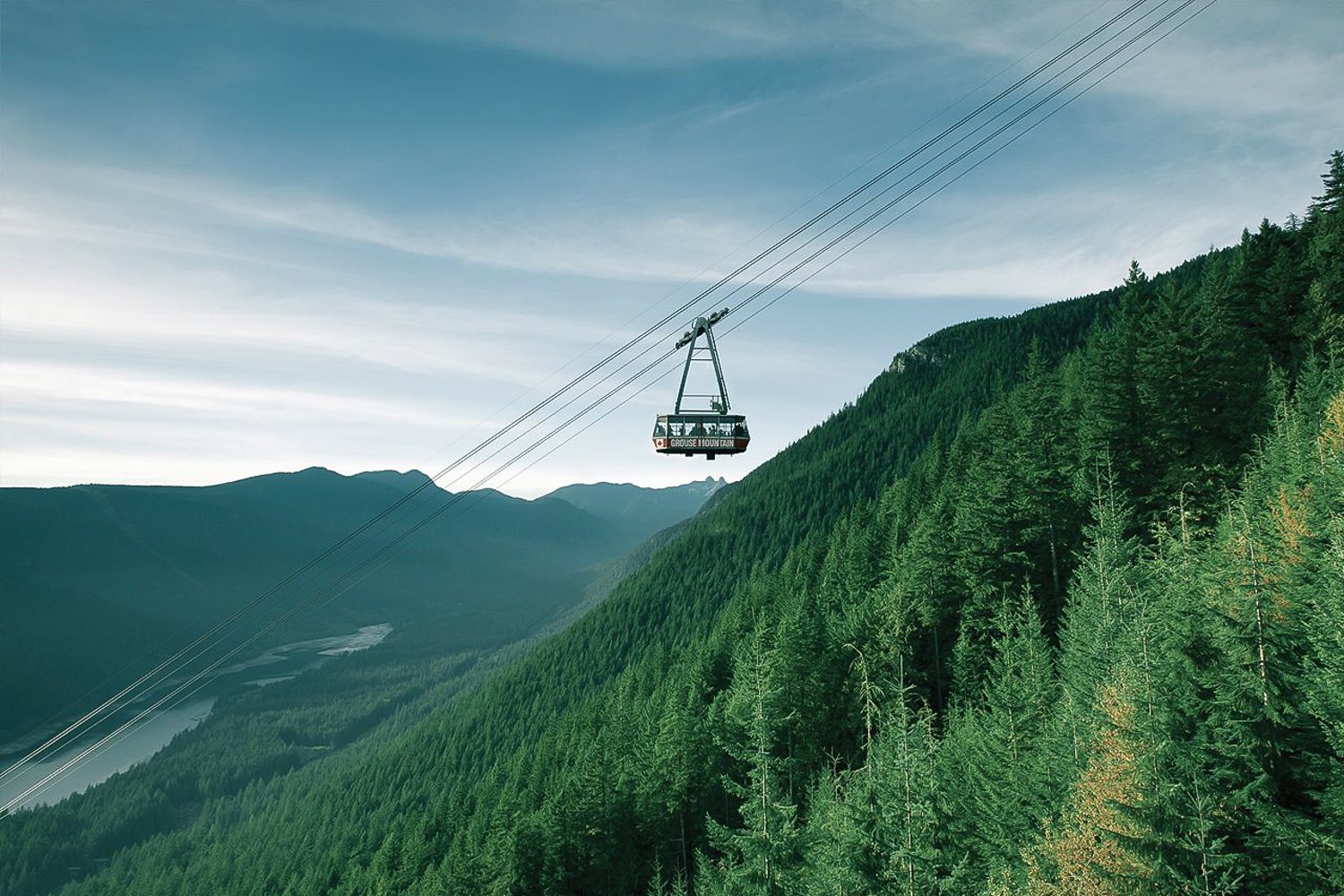 Capilano Suspension Bridge & Grouse Mountain Full-Day Tour