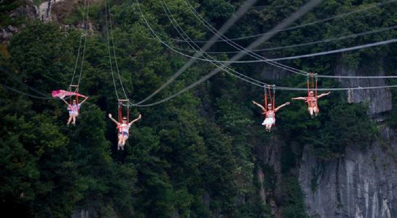 Zhangjiajie Glass Bridge & Avatar Peaks Full-Day Tour