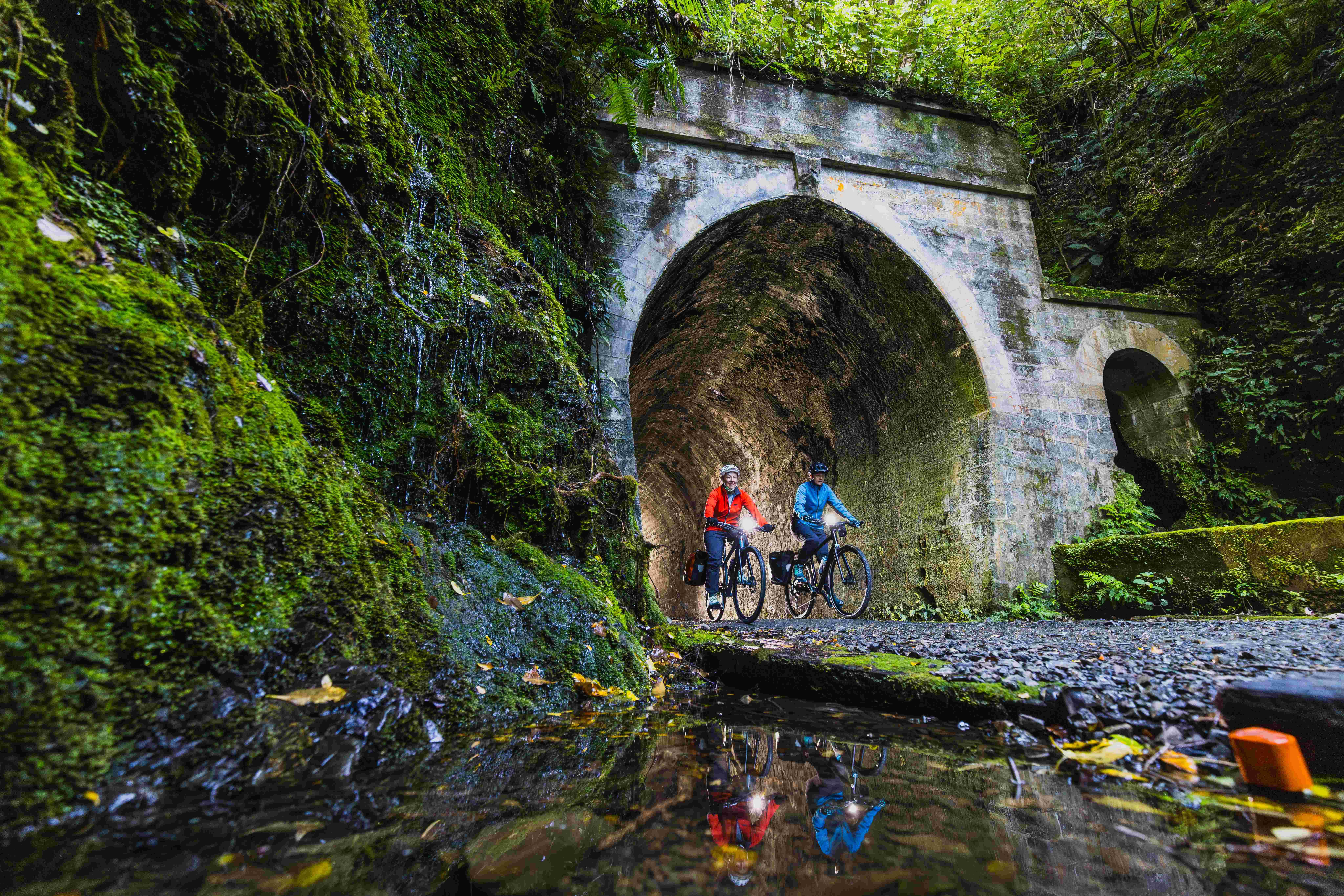 Remutaka Rail Trail Electric Bike Adventure