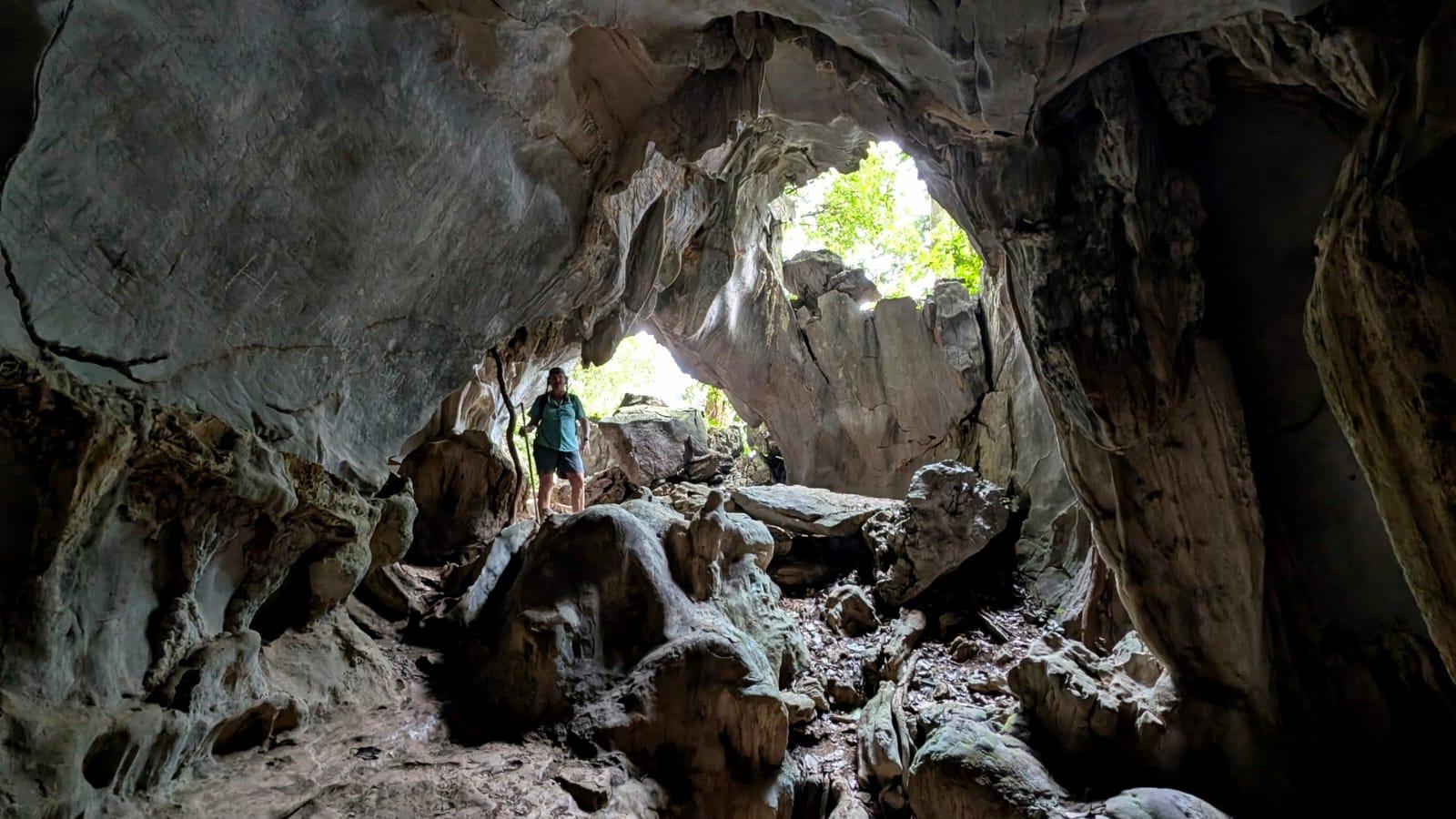Cuc Phuong National Park Day Trek & Bear Sanctuary from Ninh Binh