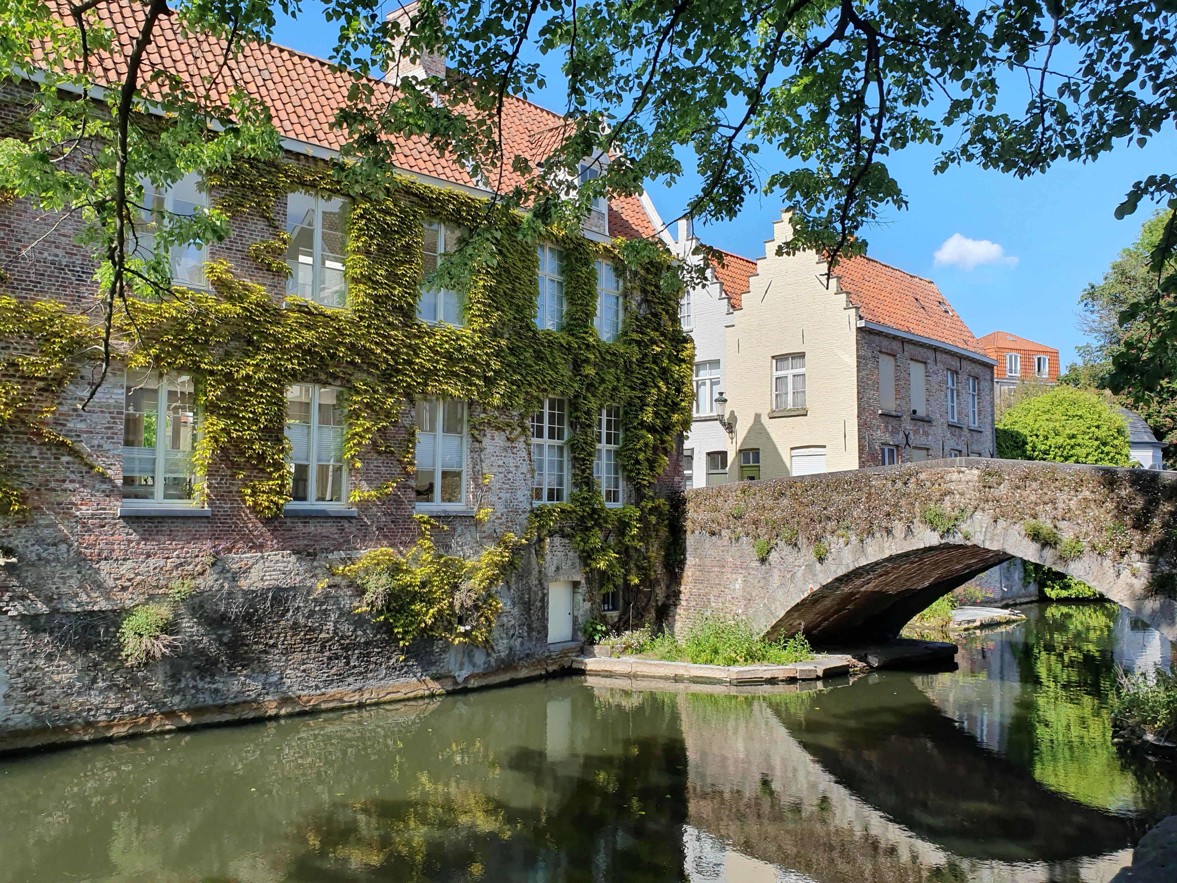 Bruges canal boat tour — medieval canals, low bridges, the Belfry and the Beguinage in the Venice of the North — image 16