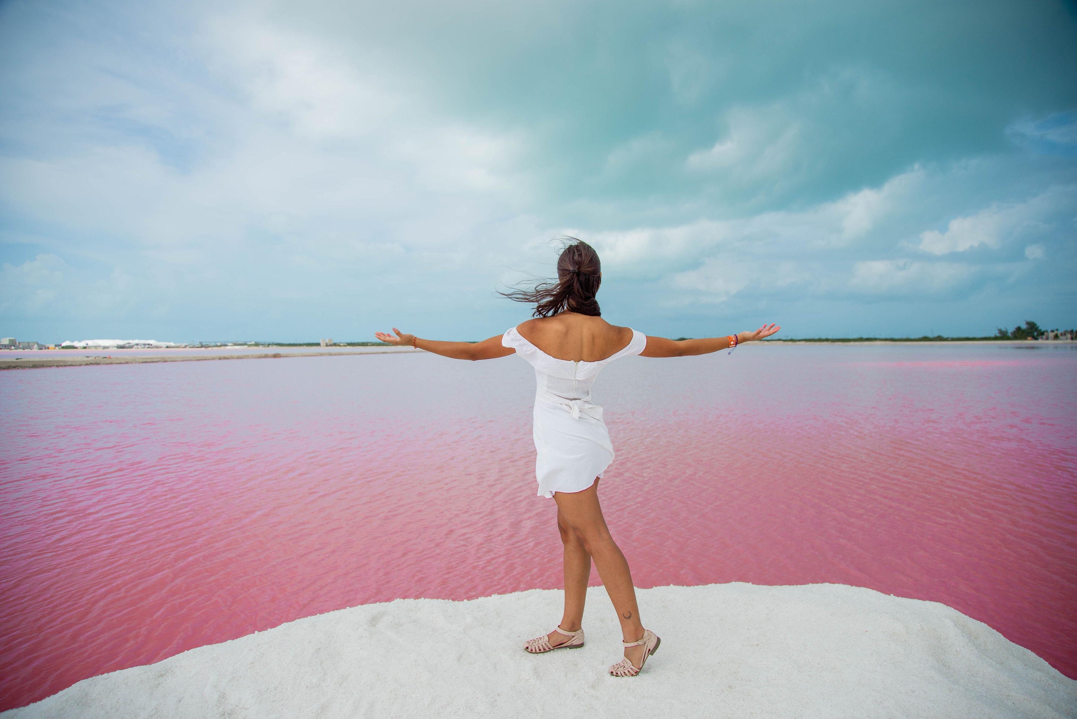 Las Coloradas & Río Lagartos Nature Expedition