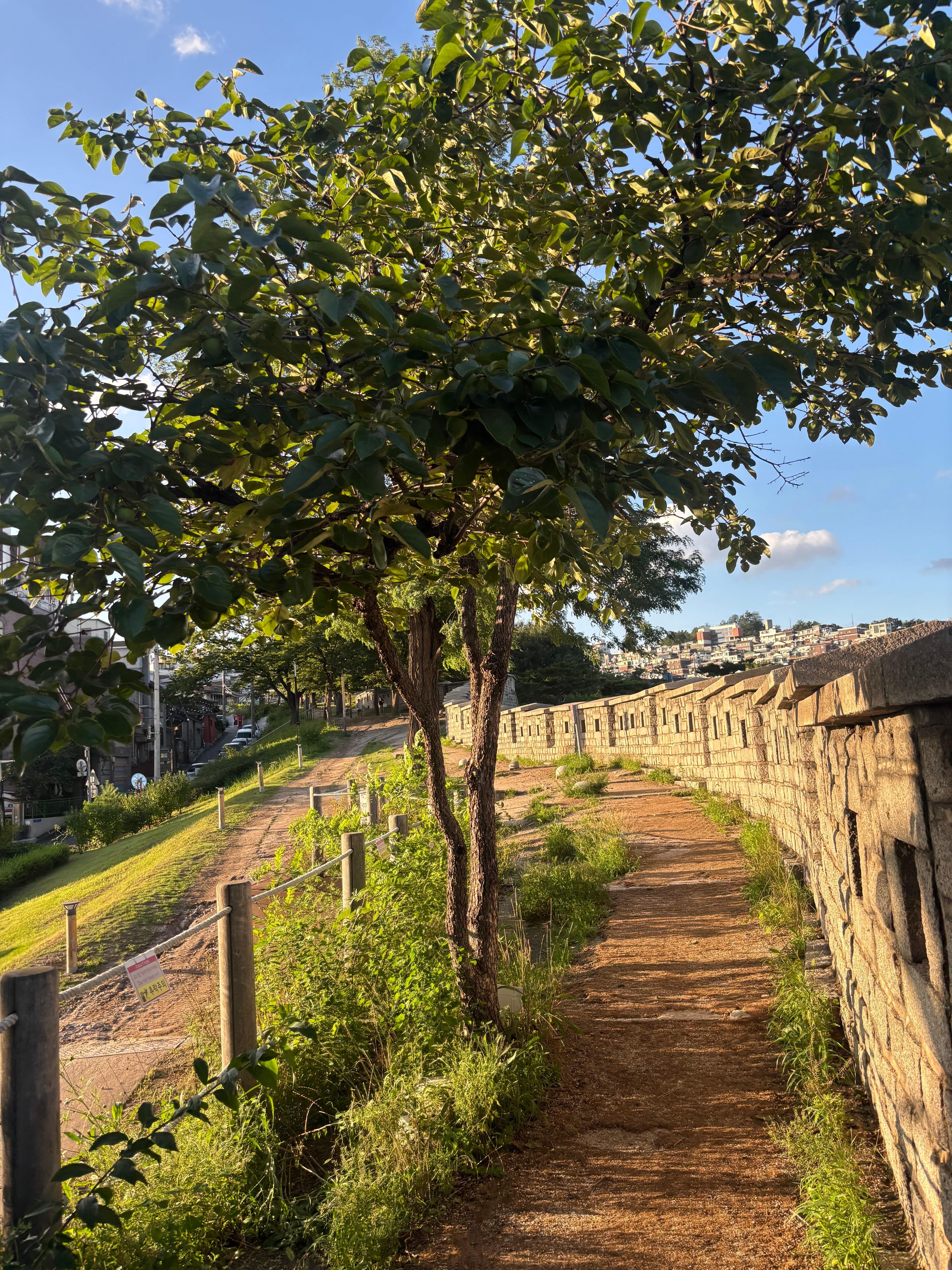 Seoul Sunset Wall Hike & Korean Dinner