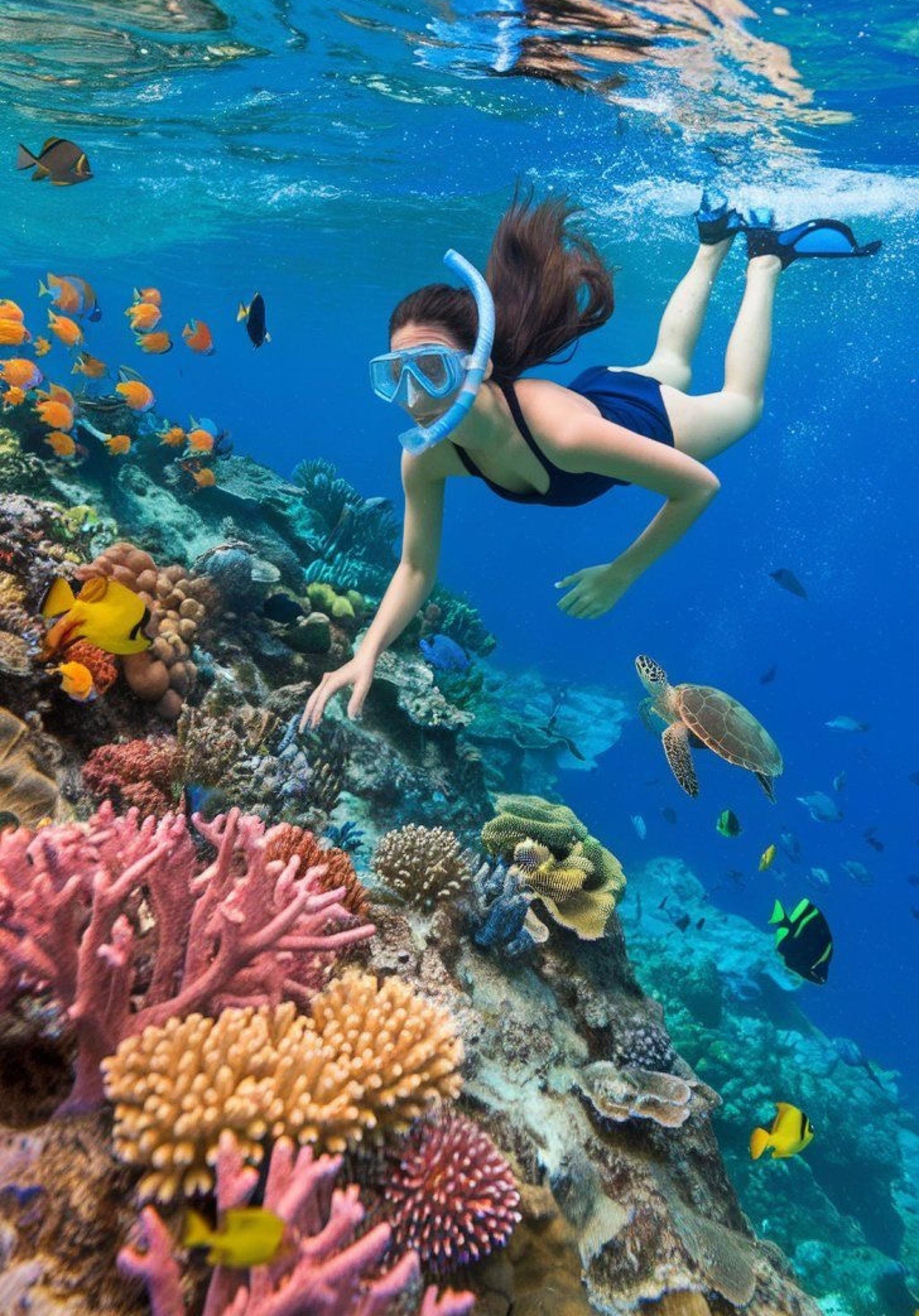 Bali Blue Lagoon Snorkel and Waterfall Adventure