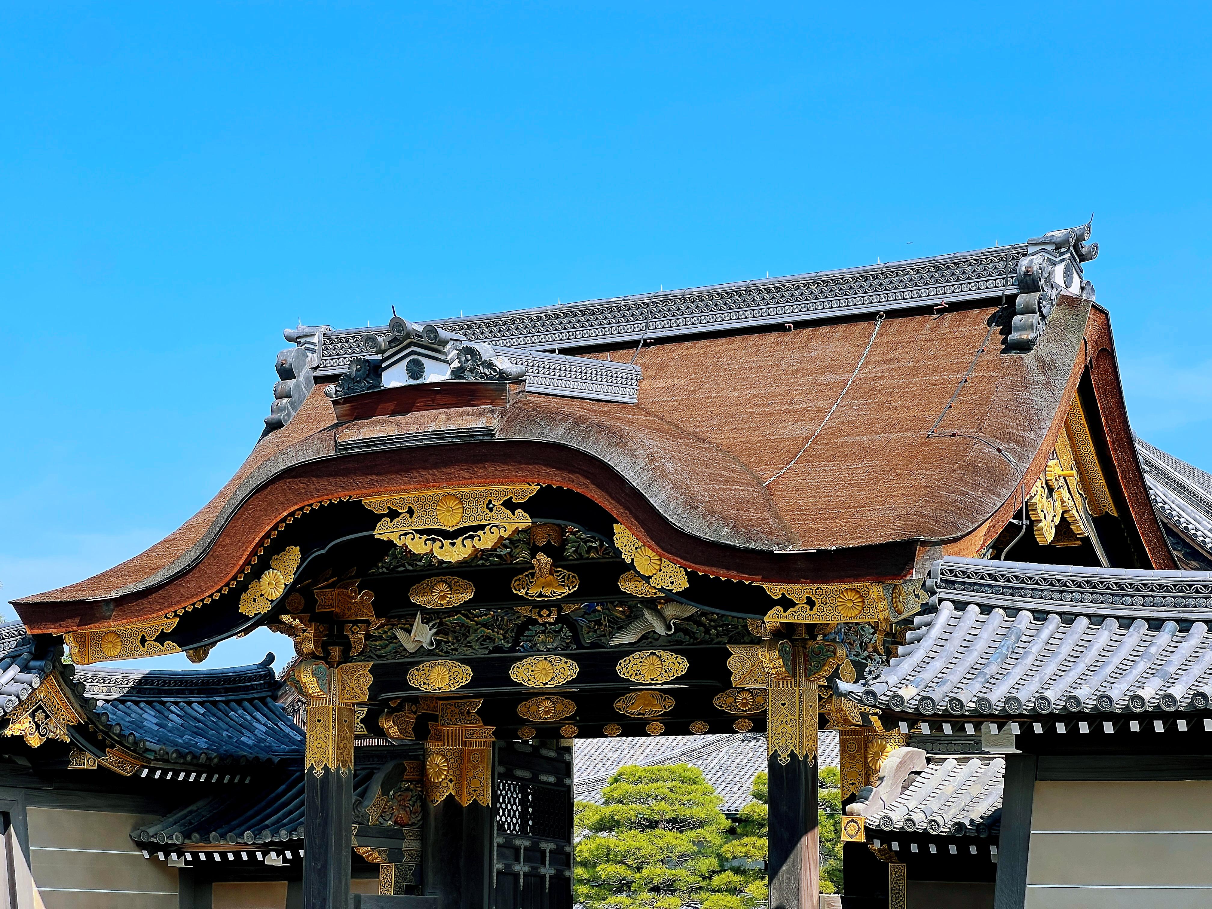 Kyoto Nijo-jo Castle: Private Samurai & Shogun History Tour
