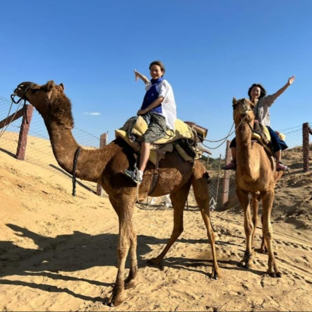 Thar Desert Overnight Camel Safari & Village Stay