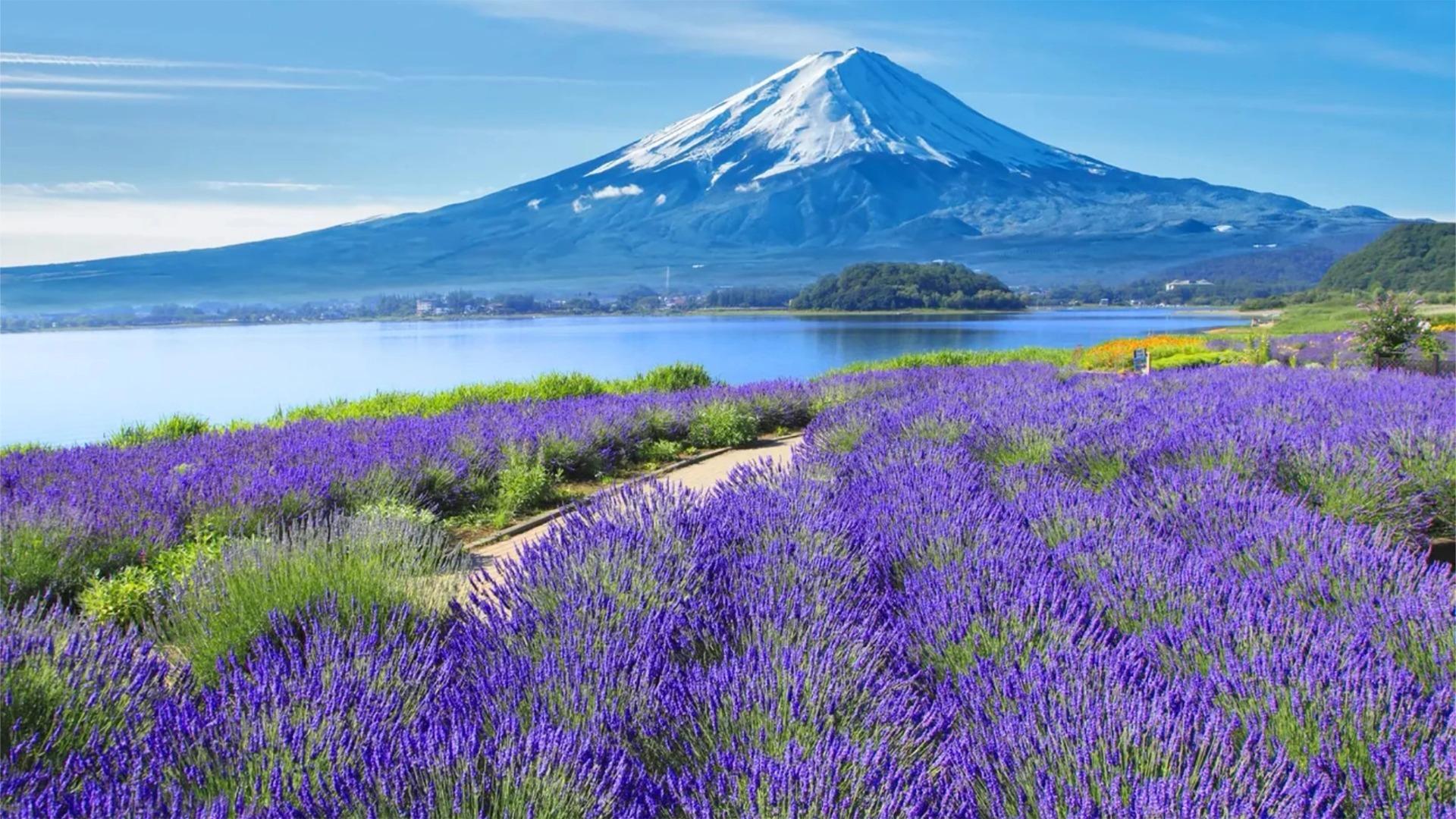 Tokyo Day Trip: Mt. Fuji Six-Spot Photography & Culture Tour