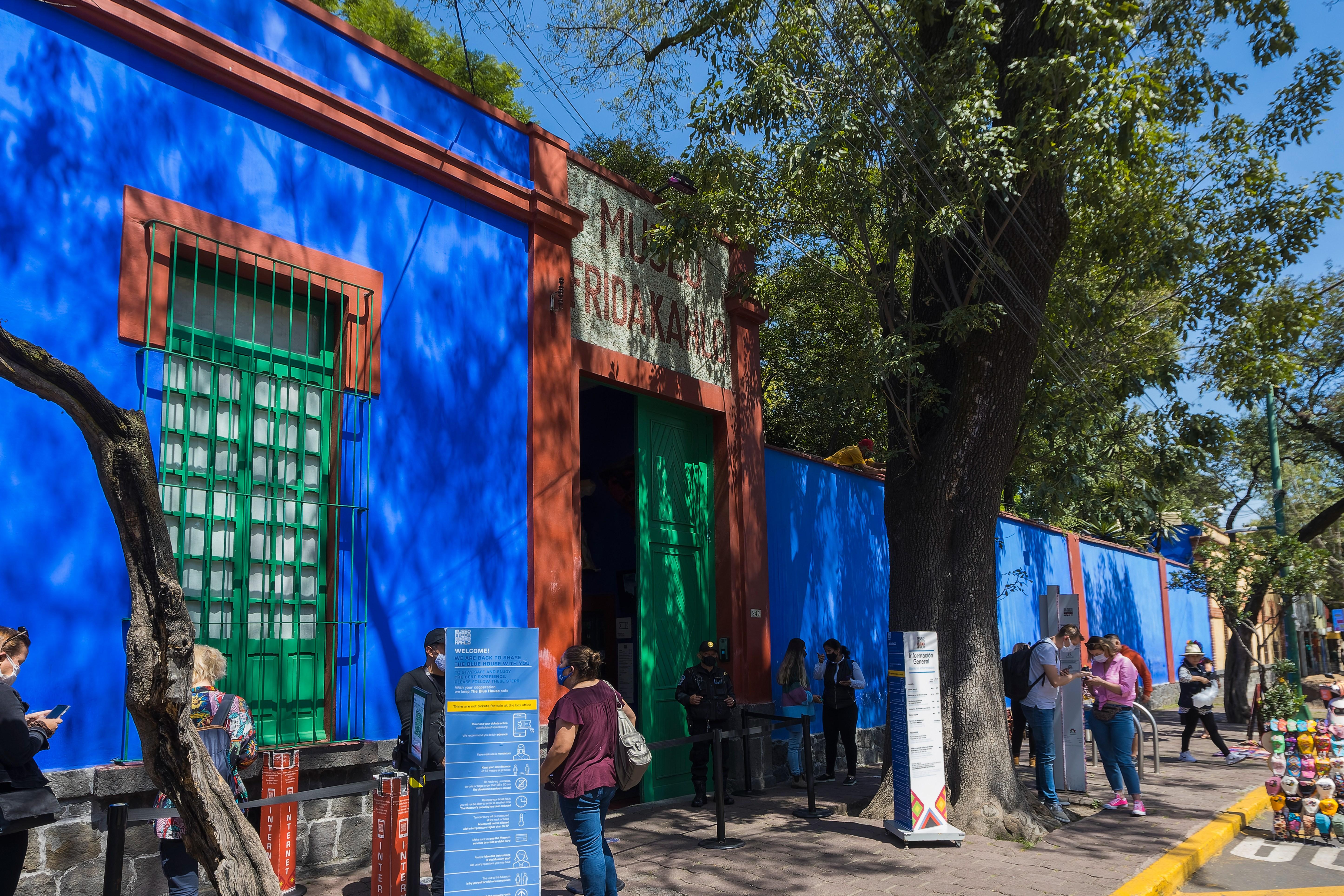 Mexico City Cultural Full-Day Tour: Xochimilco, UNAM & Coyoacán