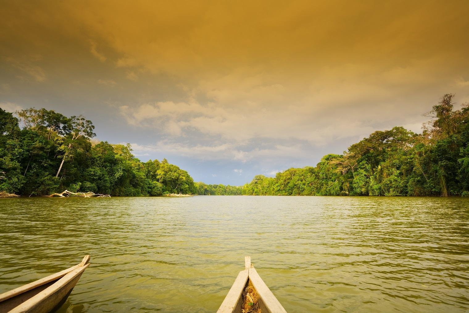 Manu National Park 4-Day Amazon Jungle Adventure from Cusco