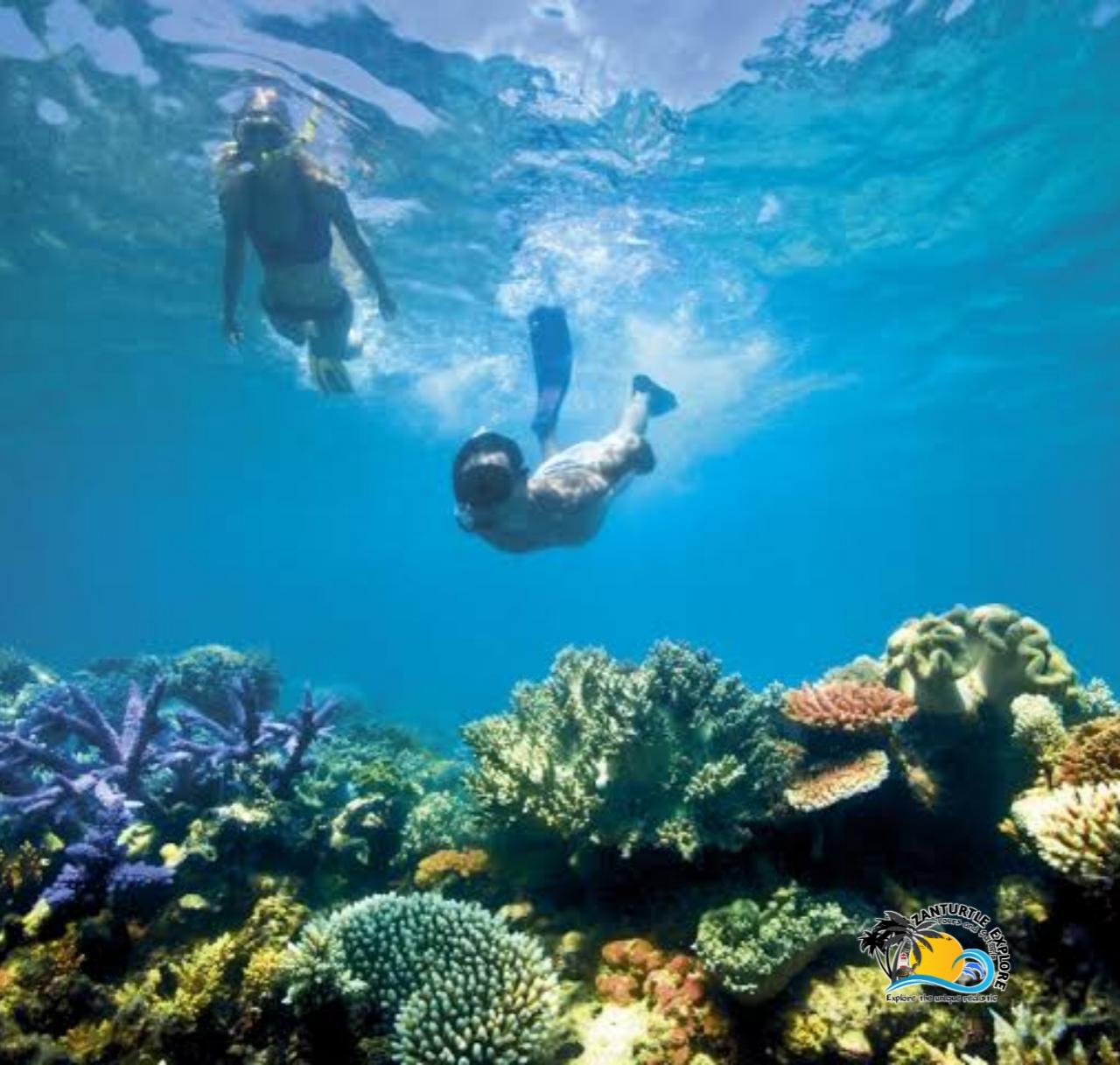 Private Zanzibar Blue Lagoon & Starfish Beach Excursion