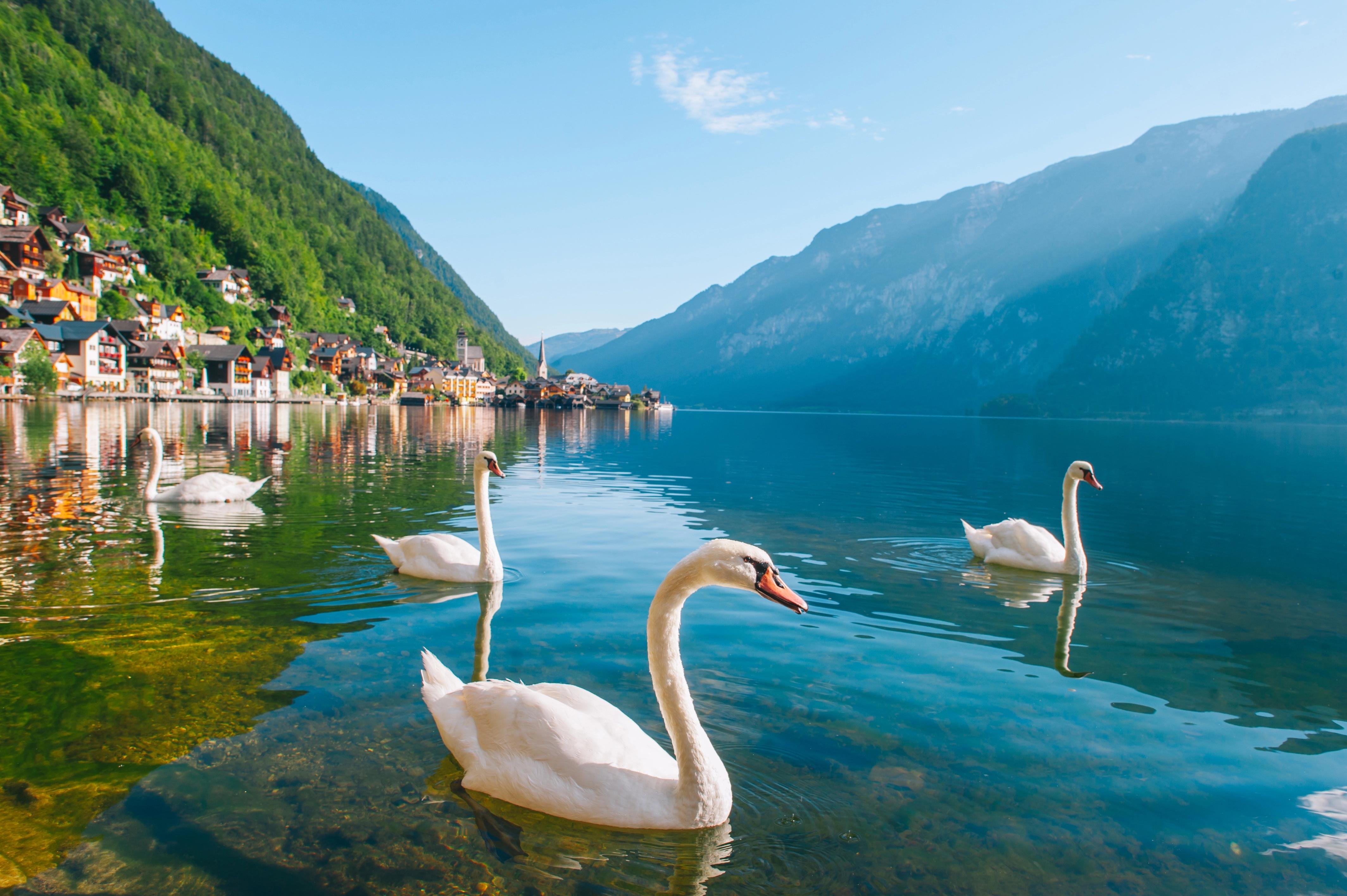 Full-Day Hallstatt & Salzburg Tour from Vienna