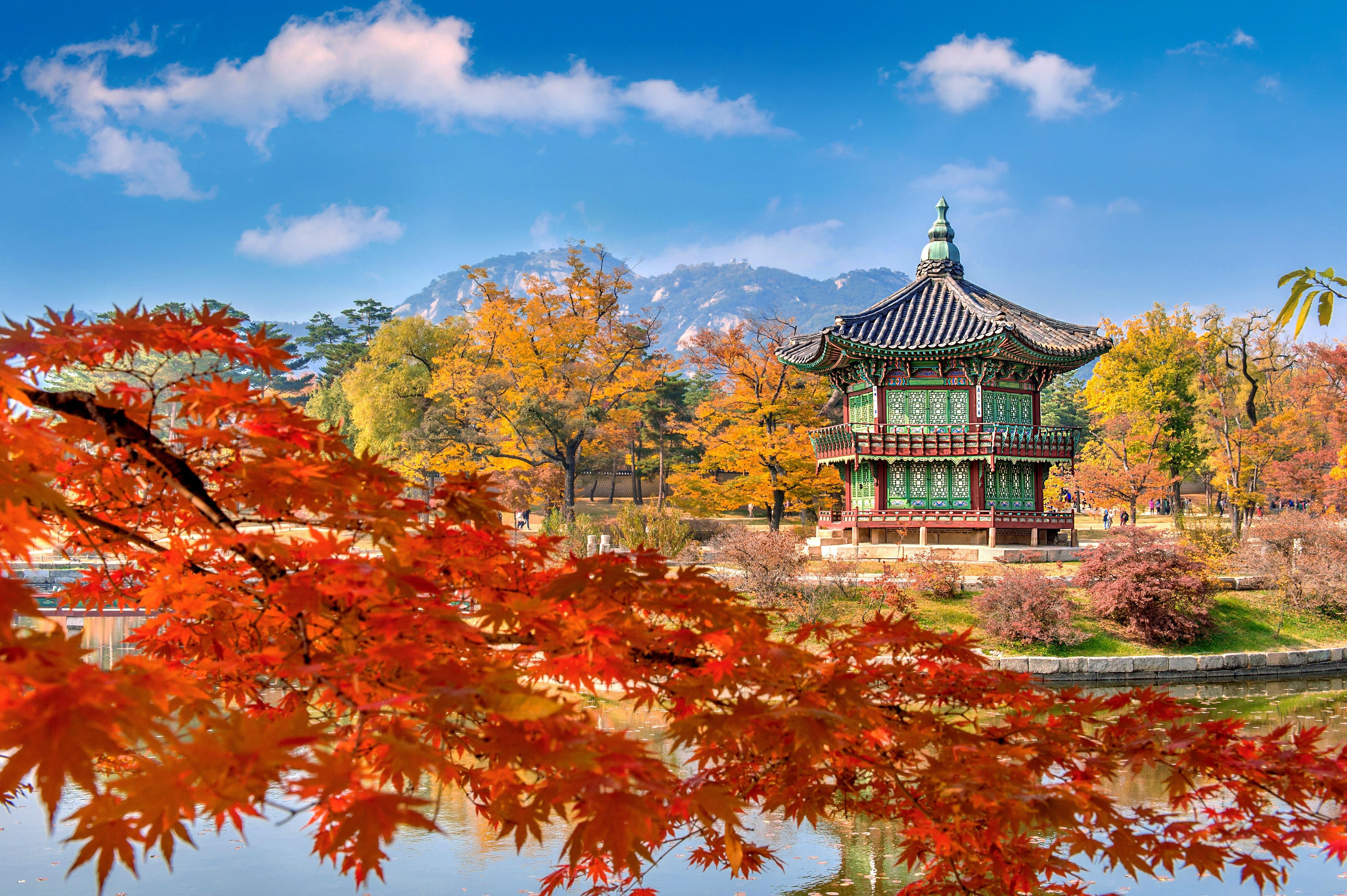 Seoul Highlights: Palace, Hanok Villages & Gwangjang Market