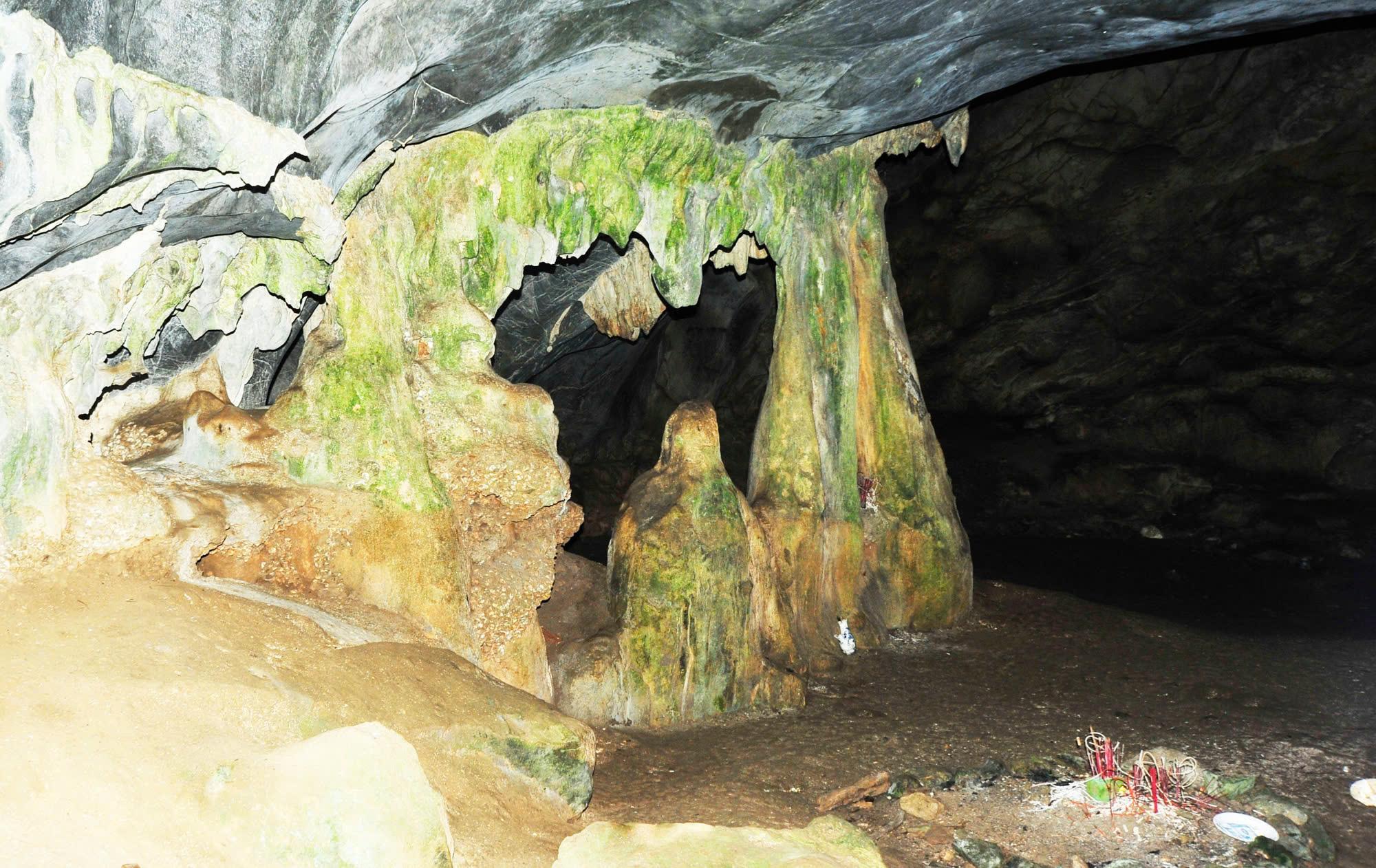 Cuc Phuong National Park: Wildlife, Cave & Jungle Trek Day Tour