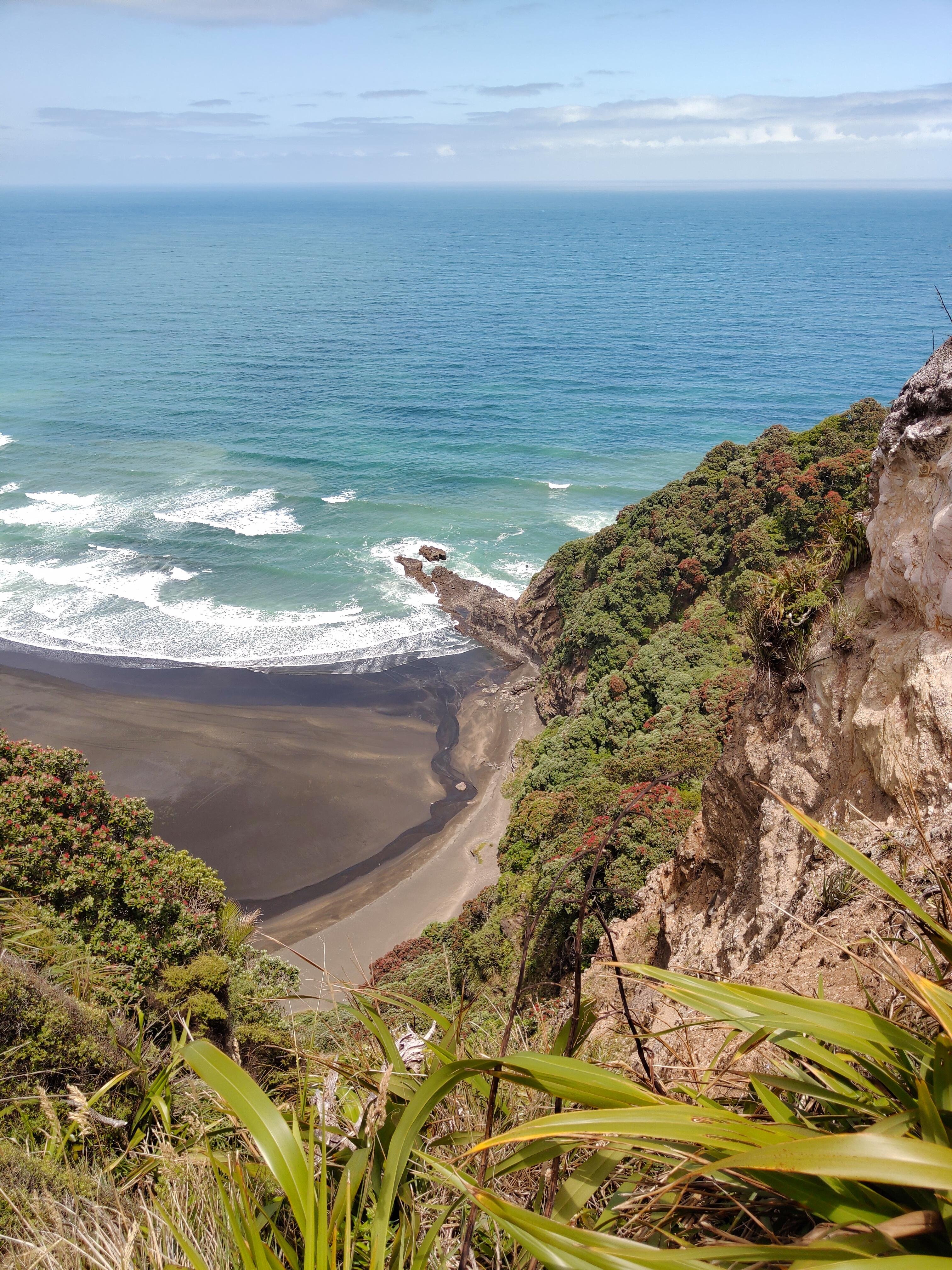 Private West Coast Eco-Sanctuary & Hidden Gem Tour