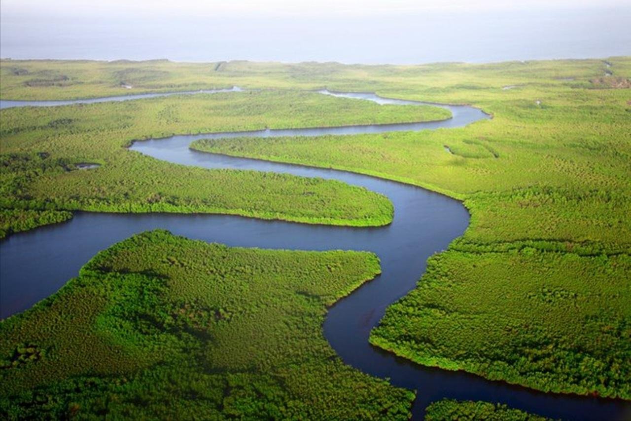 Everglades Small-Group Expedition: Airboat & Gator Show from Miami