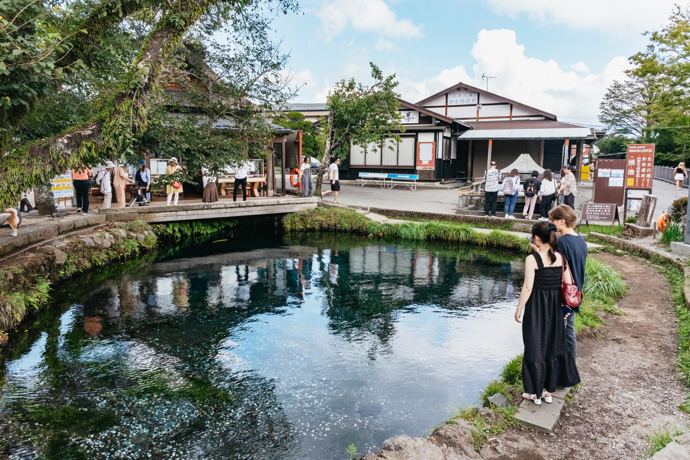Tokyo Day Trip: Mt. Fuji, Kamakura Big Buddha & Lake Ashi Cruise