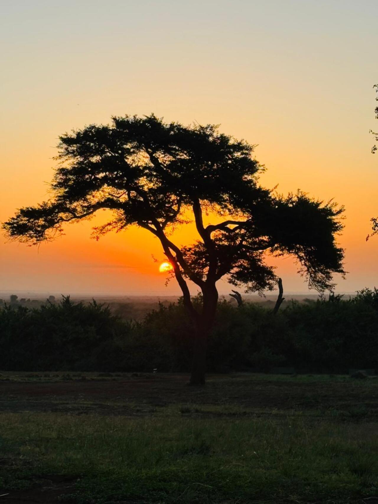 Nairobi National Park 5-Hour 4x4 Wildlife Safari