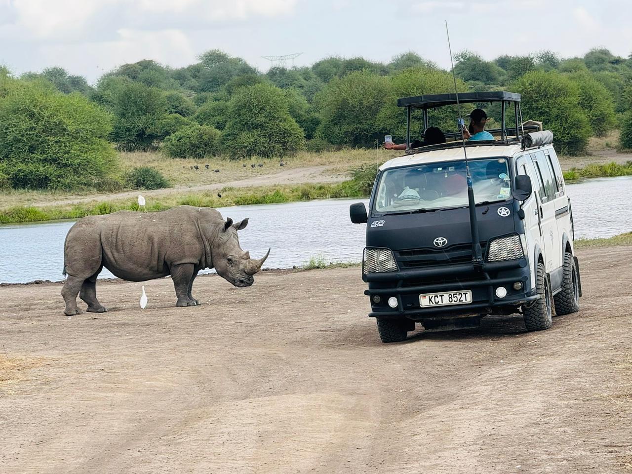 Nairobi National Park 5-Hour 4x4 Wildlife Safari