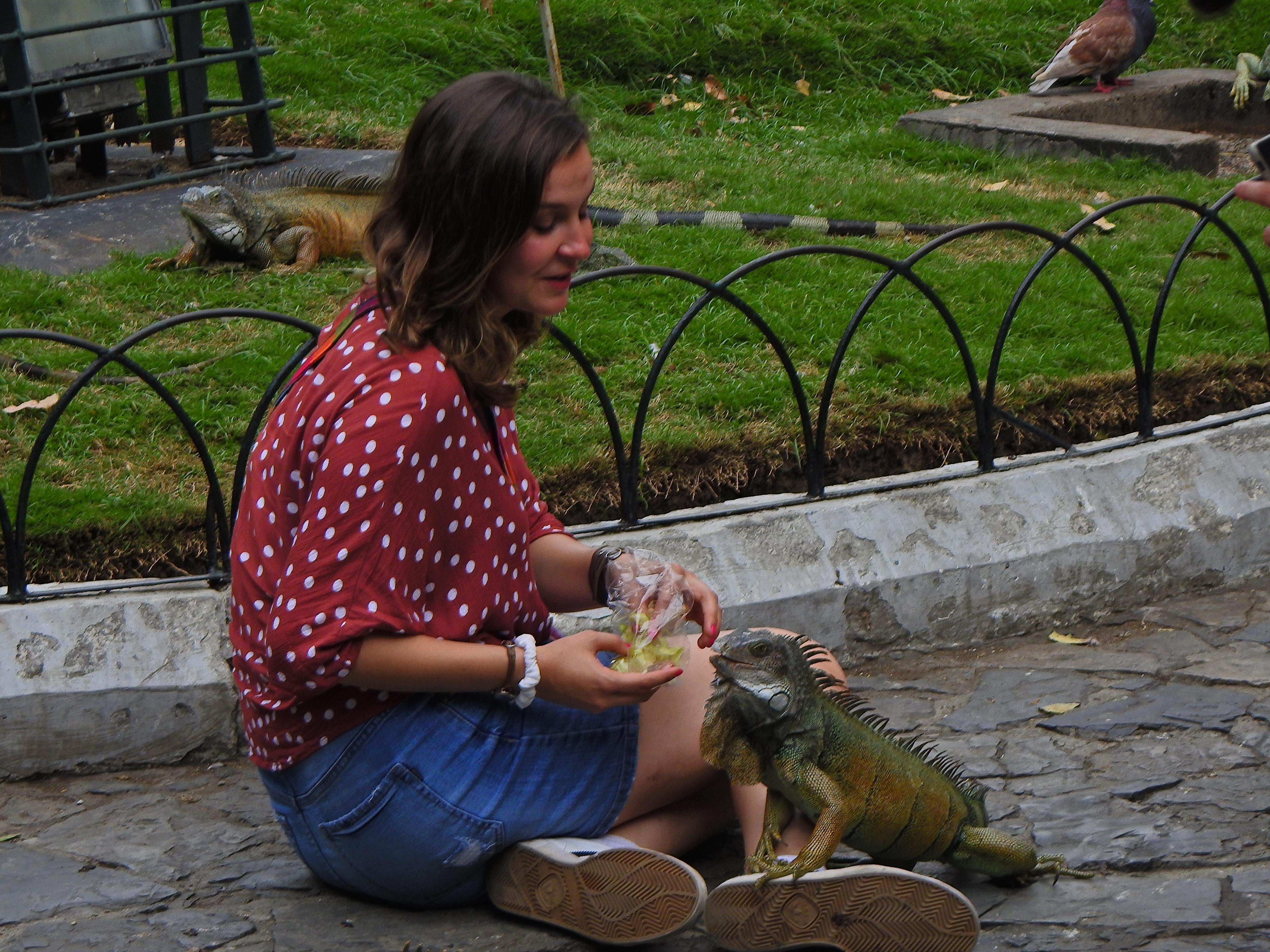 Private Custom Guayaquil Sightseeing Tour