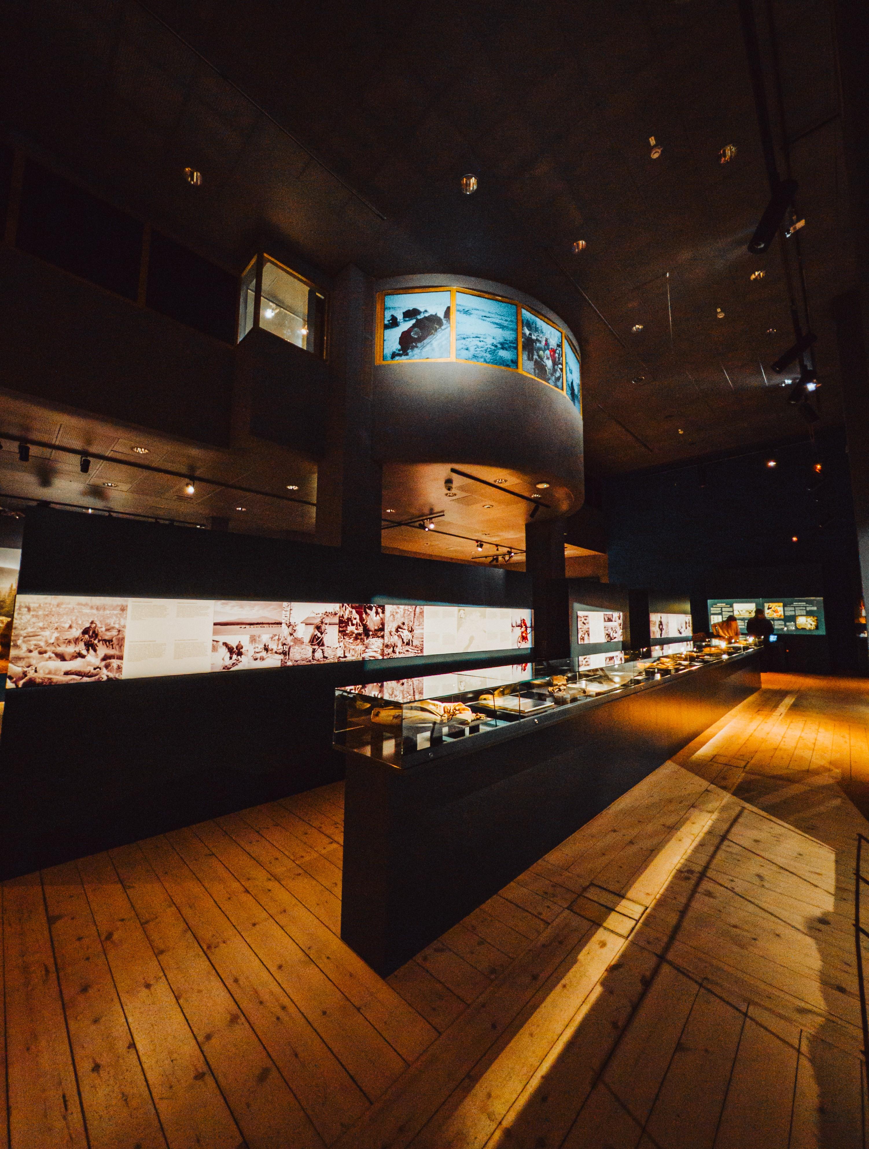 Rovaniemi Full-Day: Santa Claus Village, Arctic Nature & Arktikum Museum