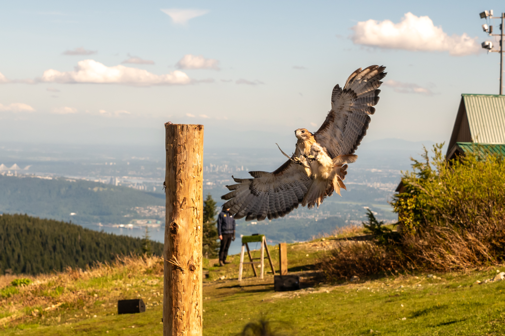 Vancouver North Shore Discovery: Grouse Mountain & Capilano Bridge