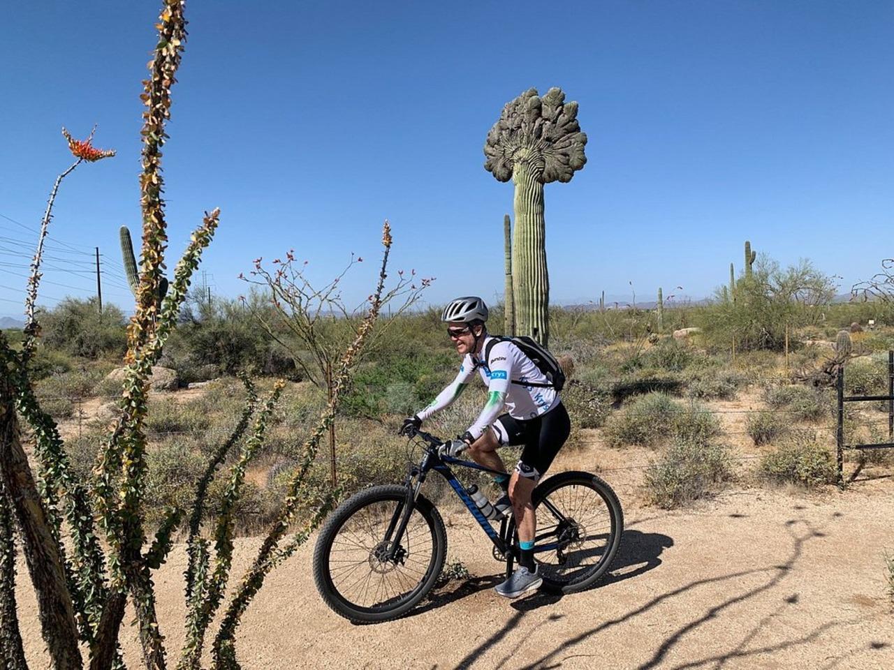 Guided Desert Mountain Bike Adventure in Scottsdale