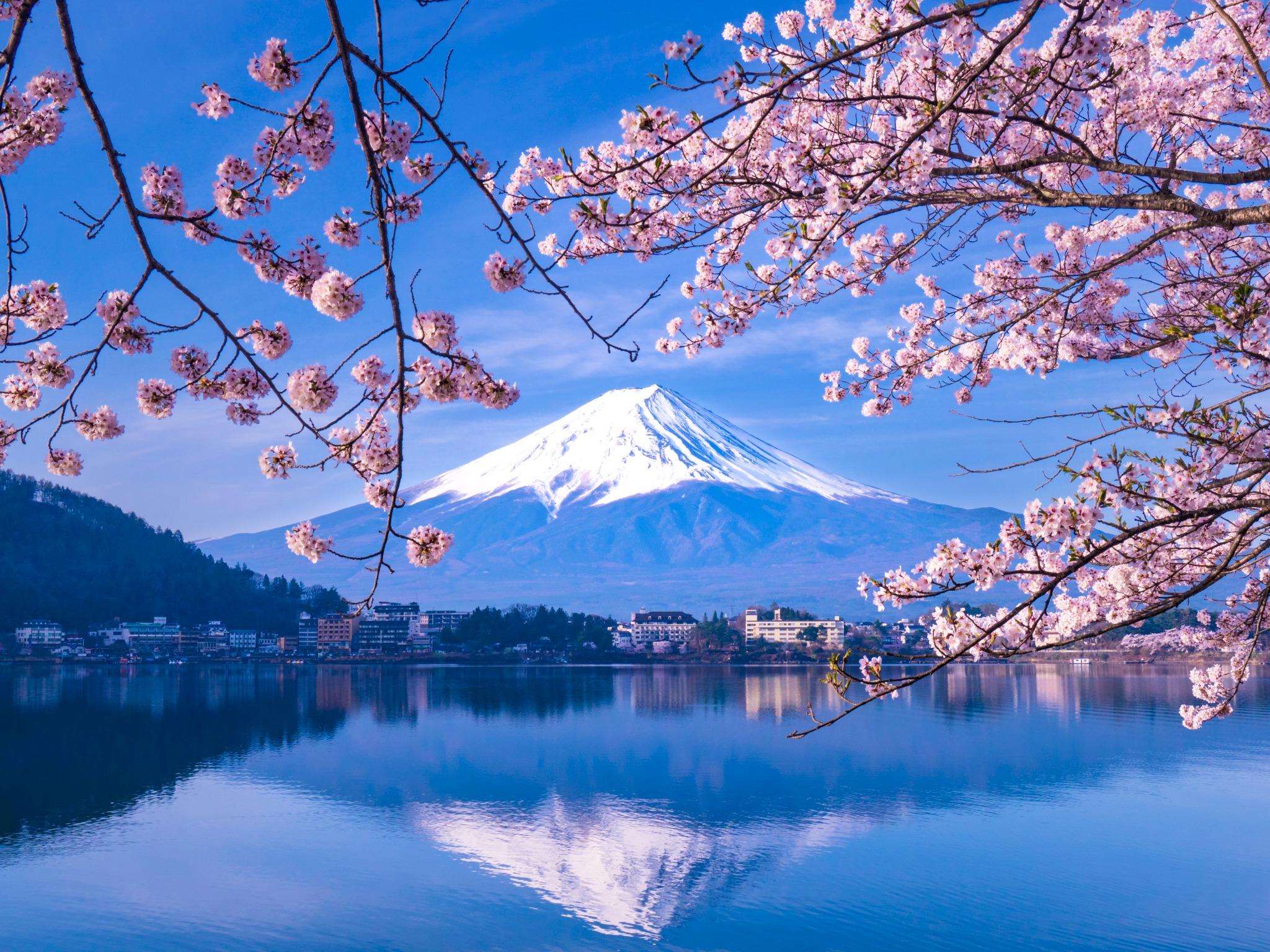 Mt. Fuji and Lake Kawaguchiko Day Tour from Tokyo
