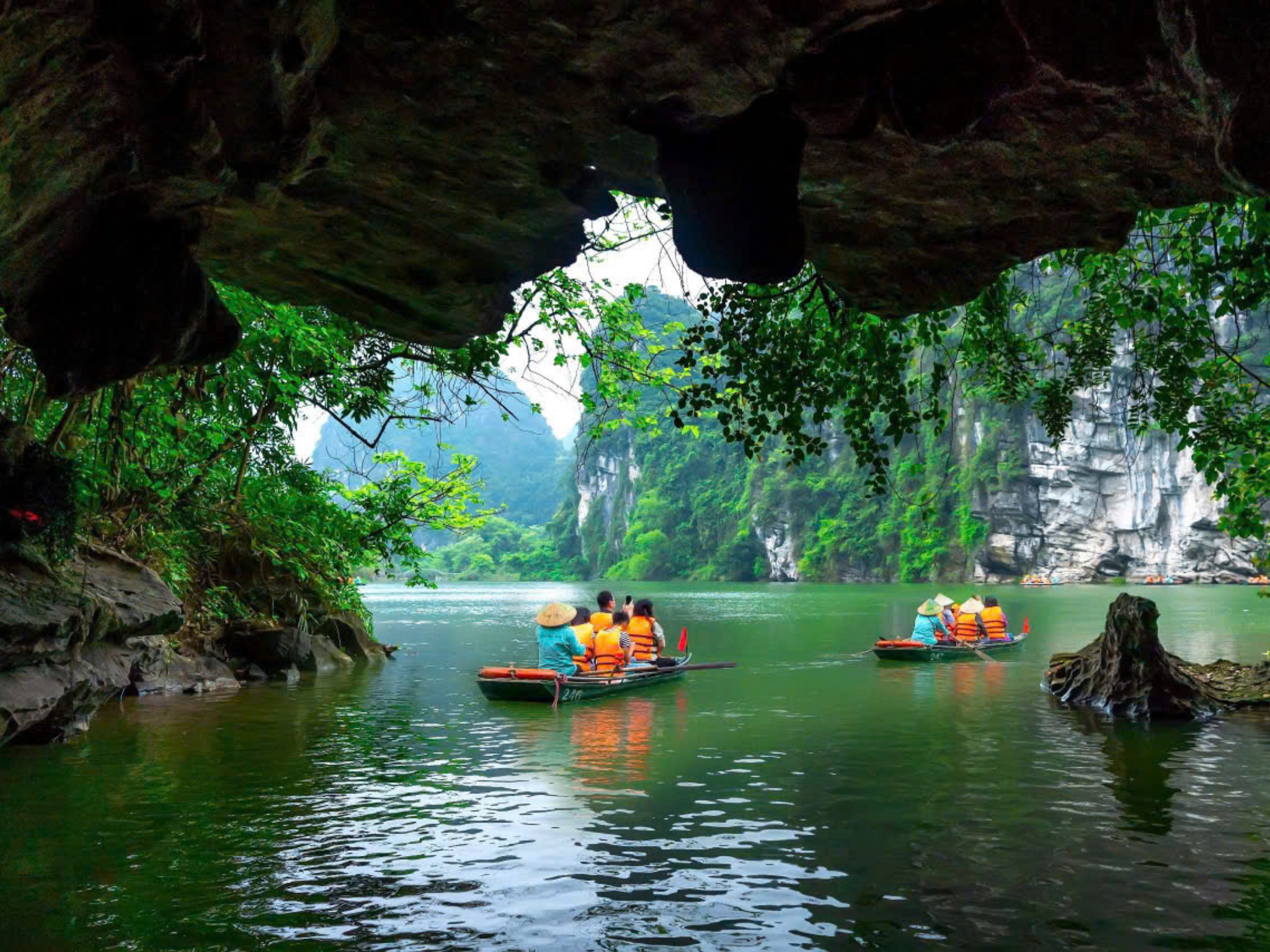 Ninh Binh Private Full-Day Tour: Bai Dinh, Trang An & Mua Cave